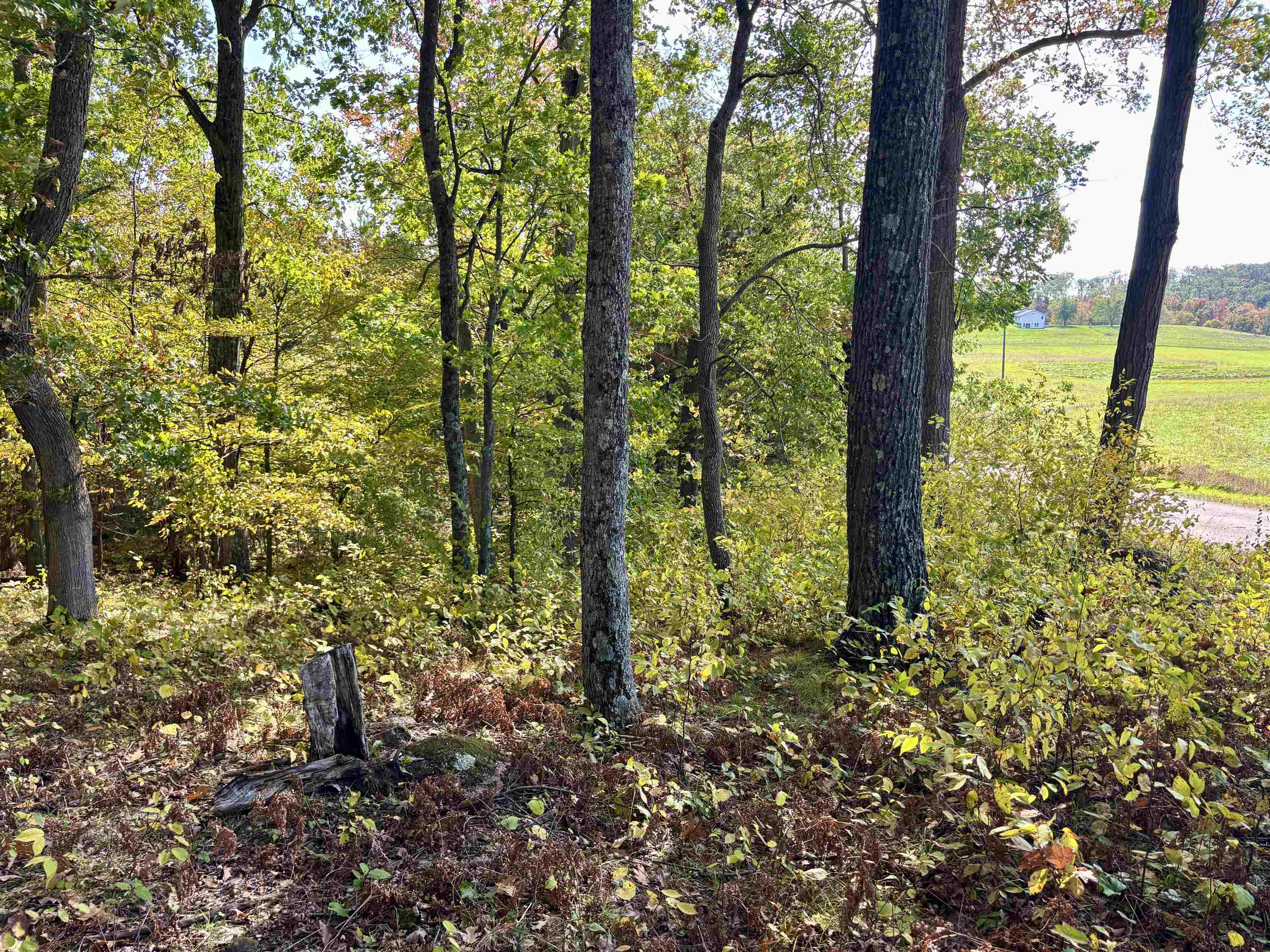 Lot 1 BRANDT ROAD, Iola, Wisconsin 54945, ,Land,For Sale,Lot 1 BRANDT ROAD,22605150