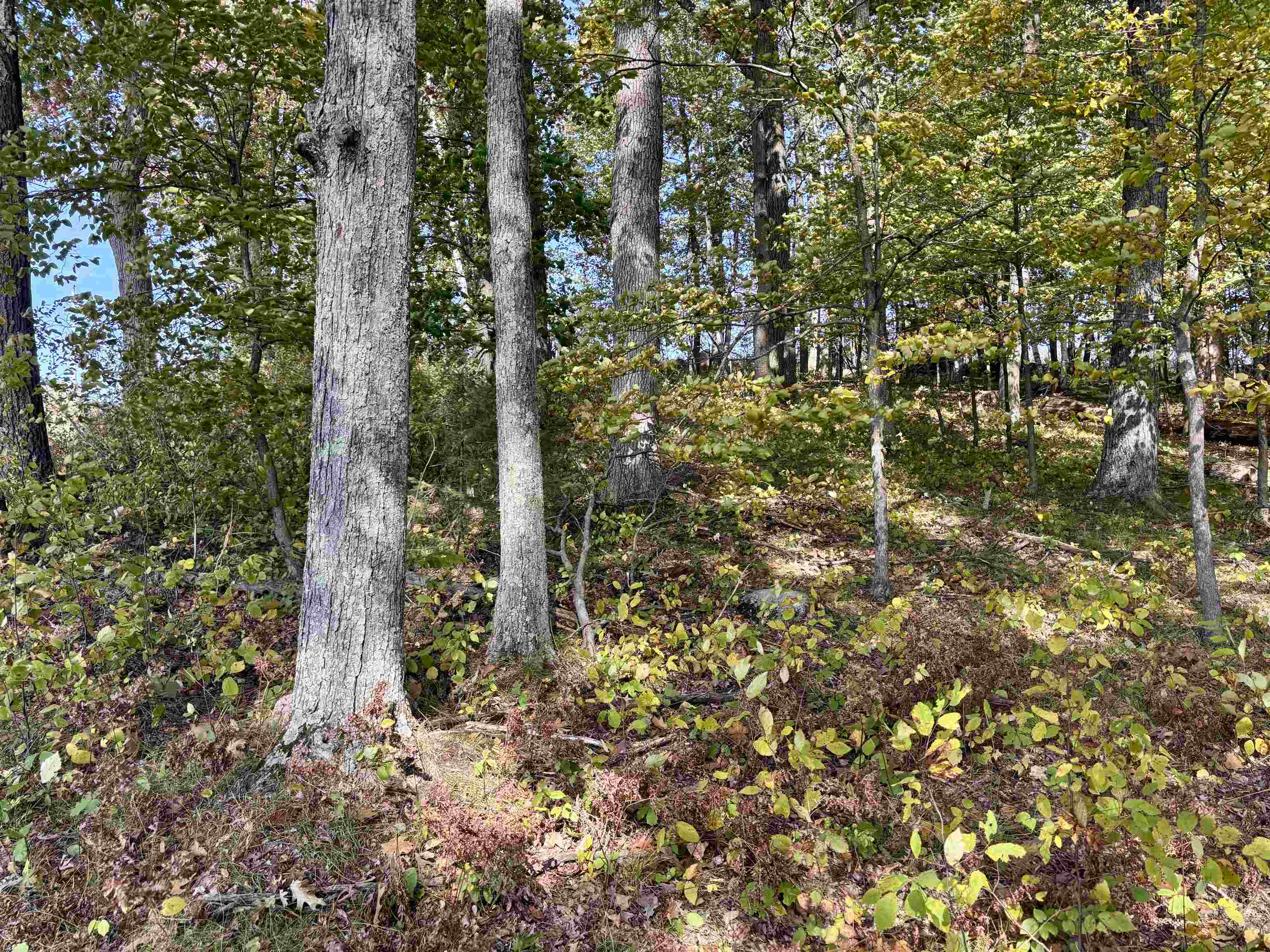 Lot 1 BRANDT ROAD, Iola, Wisconsin 54945, ,Land,For Sale,Lot 1 BRANDT ROAD,22605150