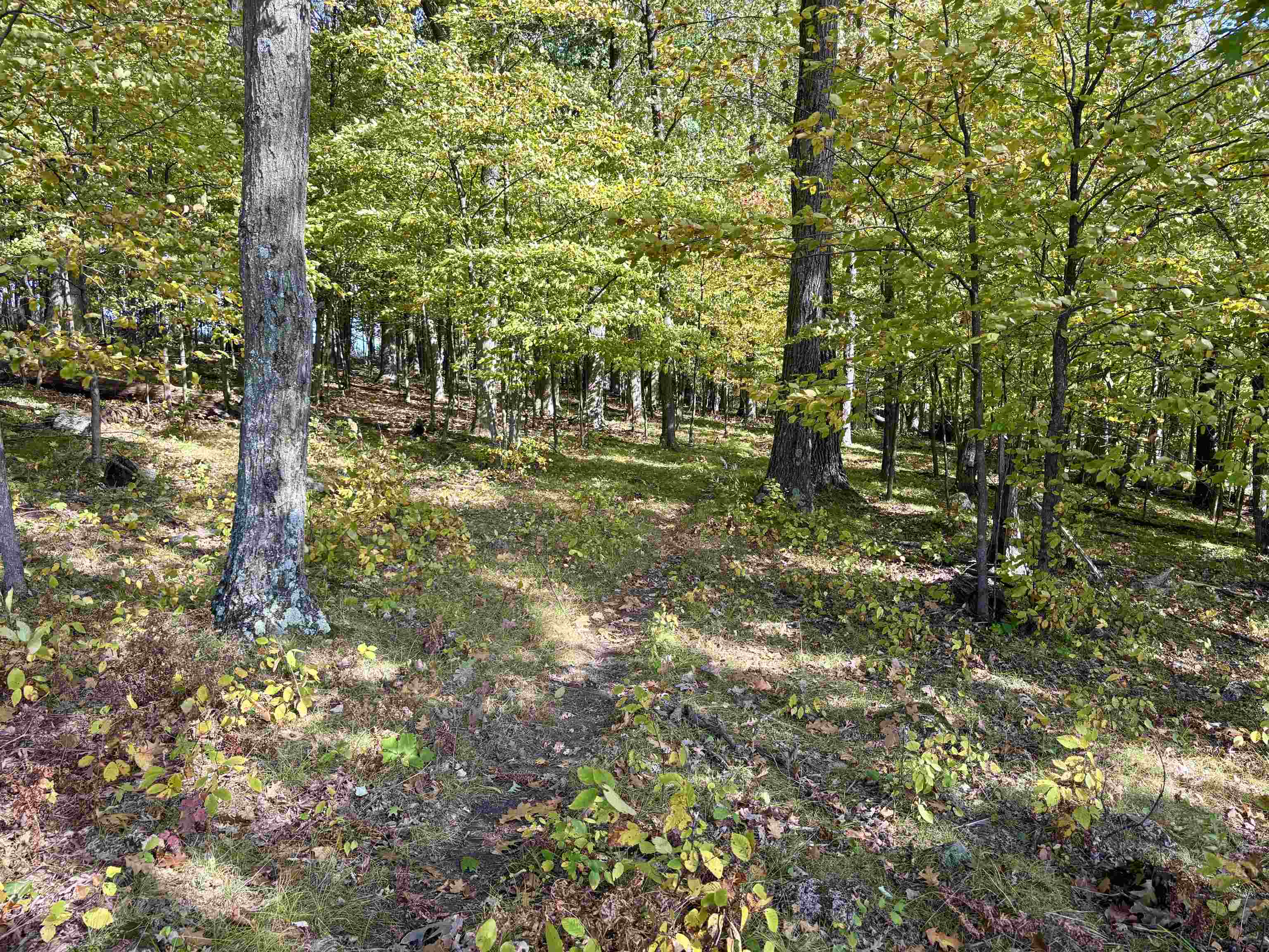 Lot 1 BRANDT ROAD, Iola, Wisconsin 54945, ,Land,For Sale,Lot 1 BRANDT ROAD,22605150