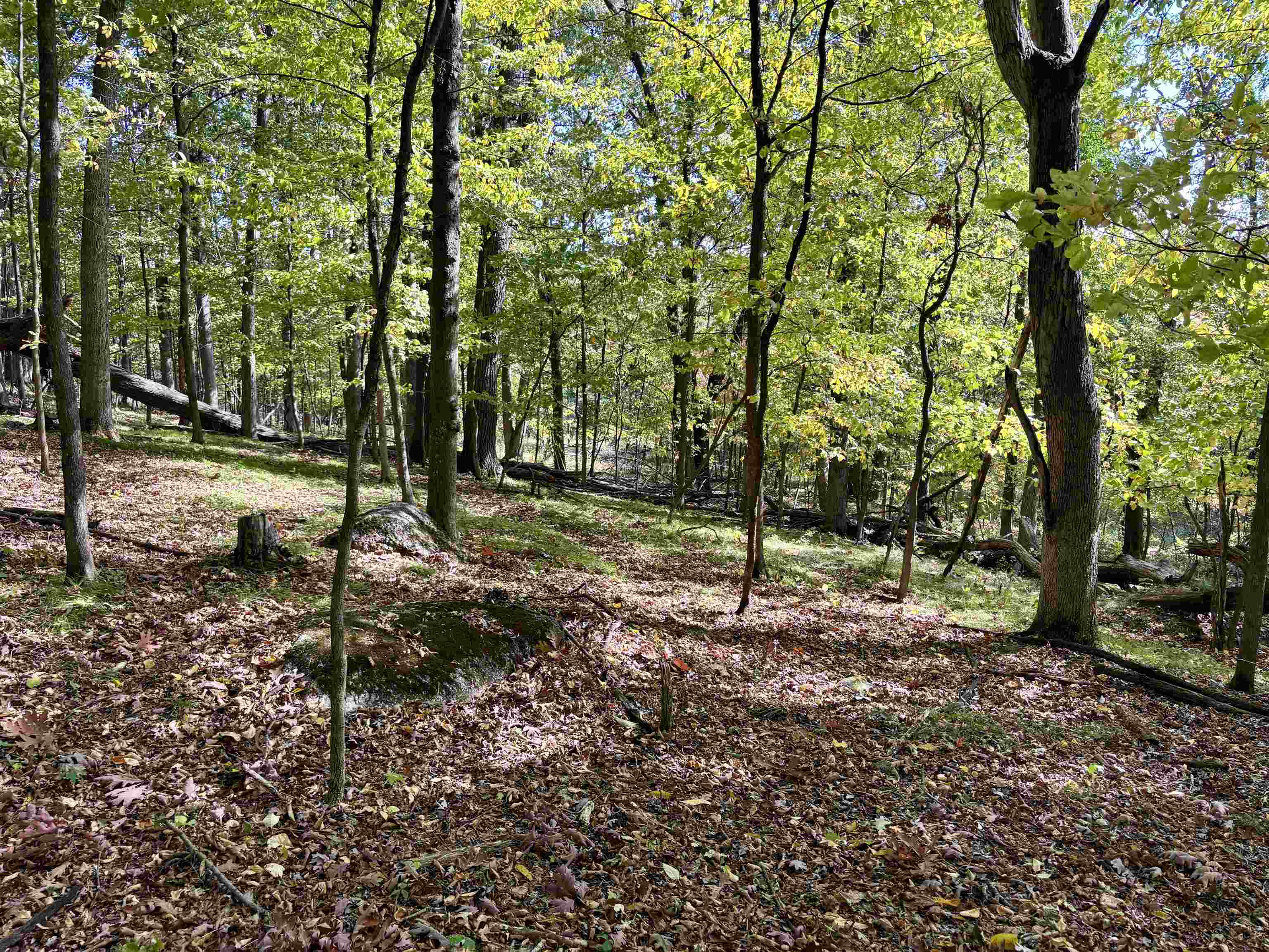 Lot 1 BRANDT ROAD, Iola, Wisconsin 54945, ,Land,For Sale,Lot 1 BRANDT ROAD,22605150