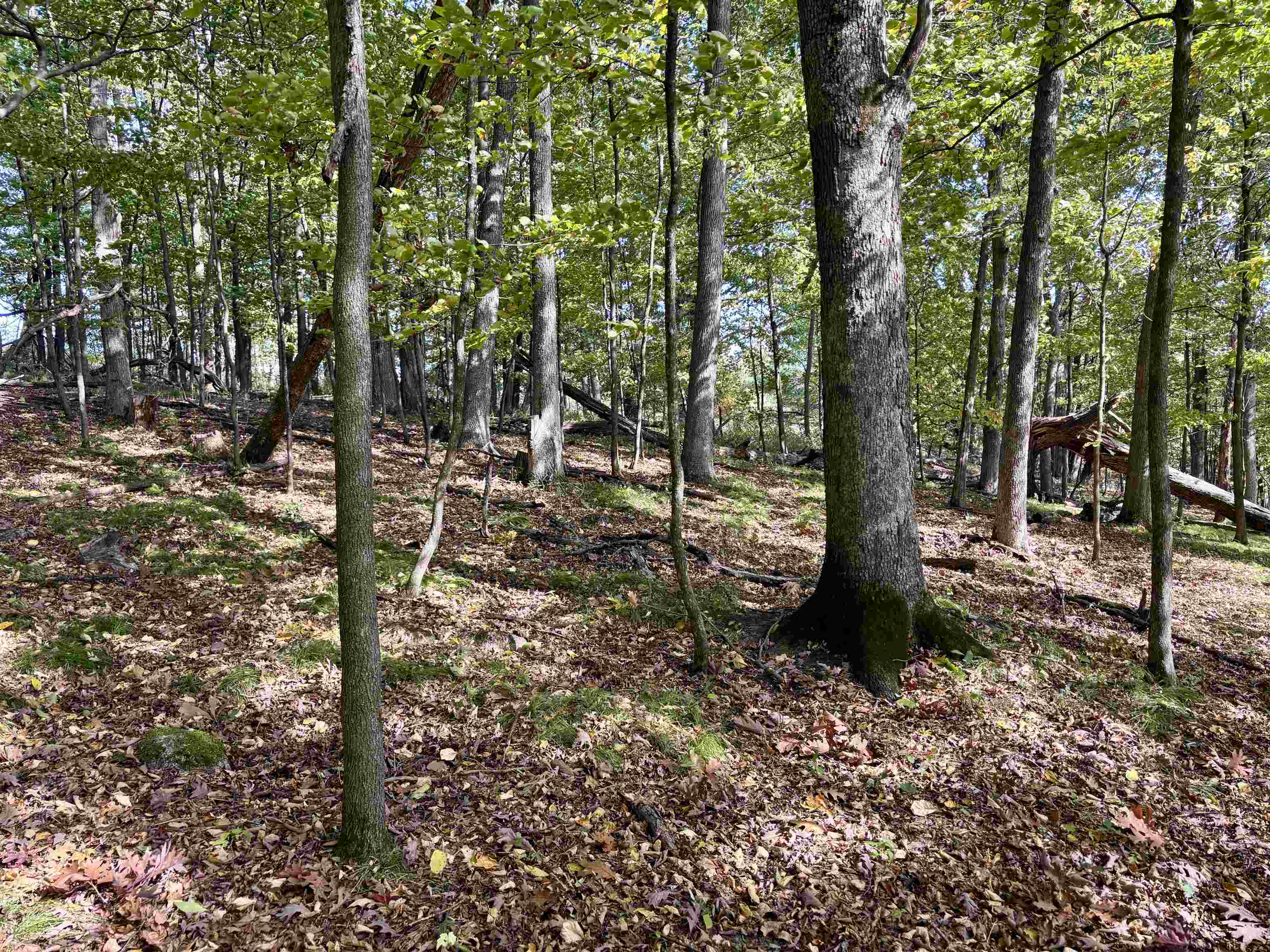 Lot 1 BRANDT ROAD, Iola, Wisconsin 54945, ,Land,For Sale,Lot 1 BRANDT ROAD,22605150