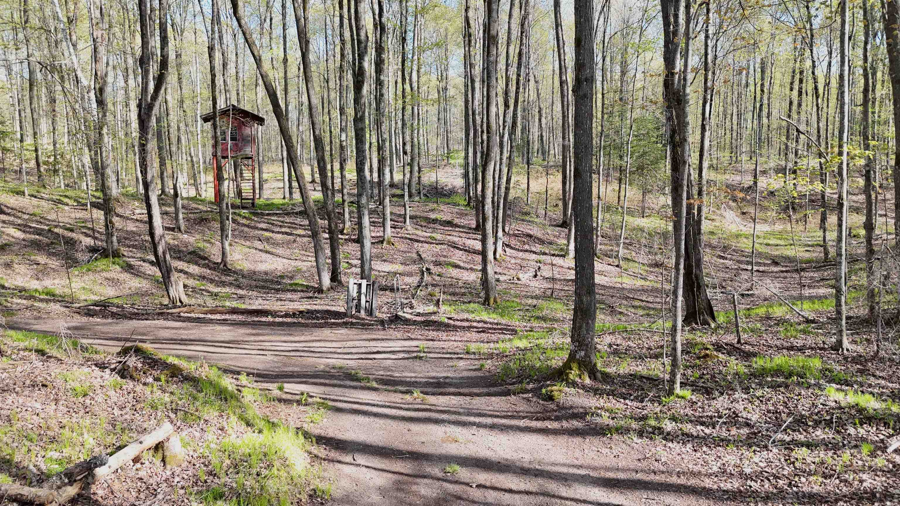 1199 W BLACKBERRY LANE, Gleason, Wisconsin 54435, ,Land,For Sale,1199 W BLACKBERRY LANE,22605159