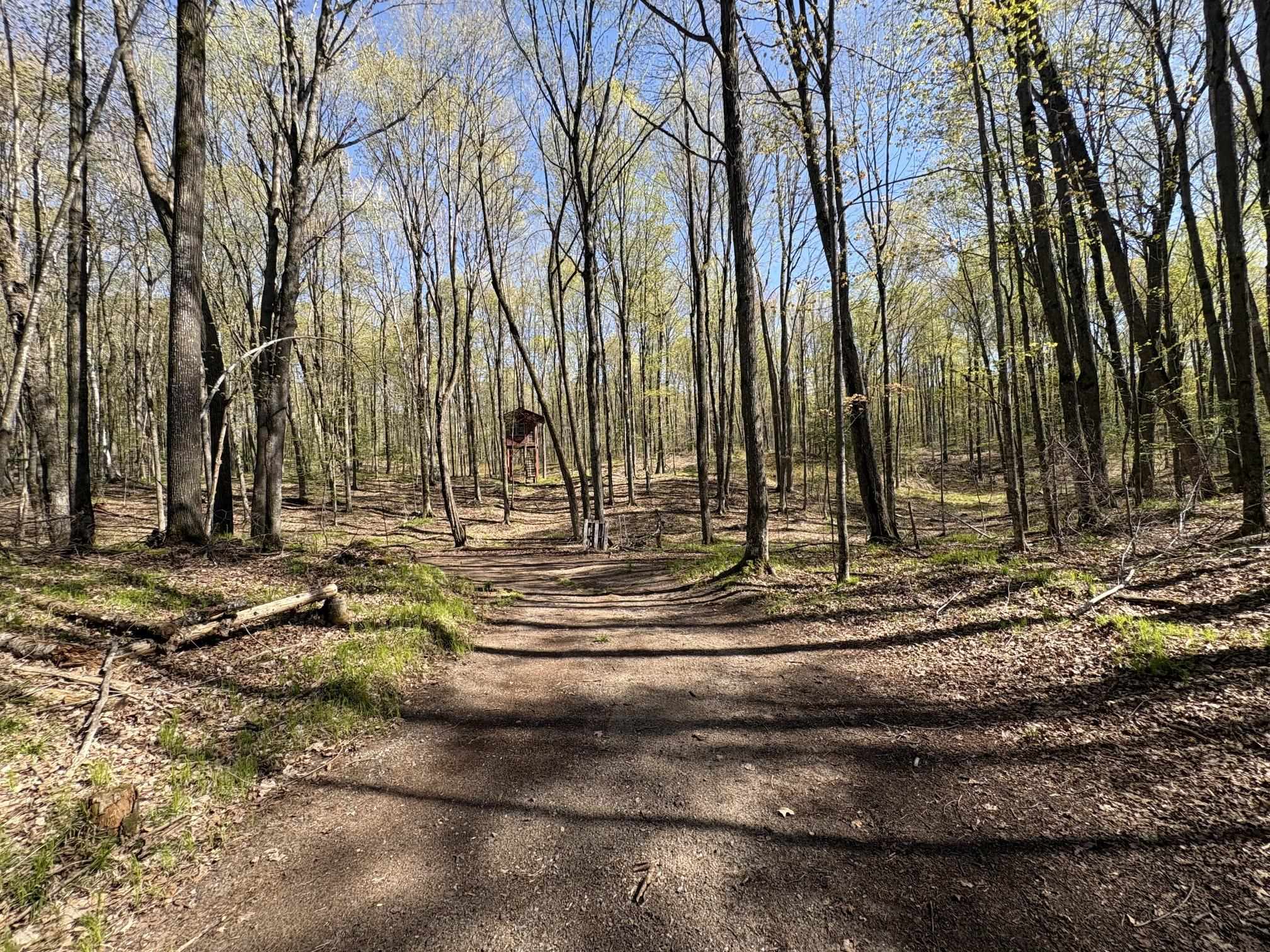 1199 W BLACKBERRY LANE, Gleason, Wisconsin 54435, ,Land,For Sale,1199 W BLACKBERRY LANE,22605159