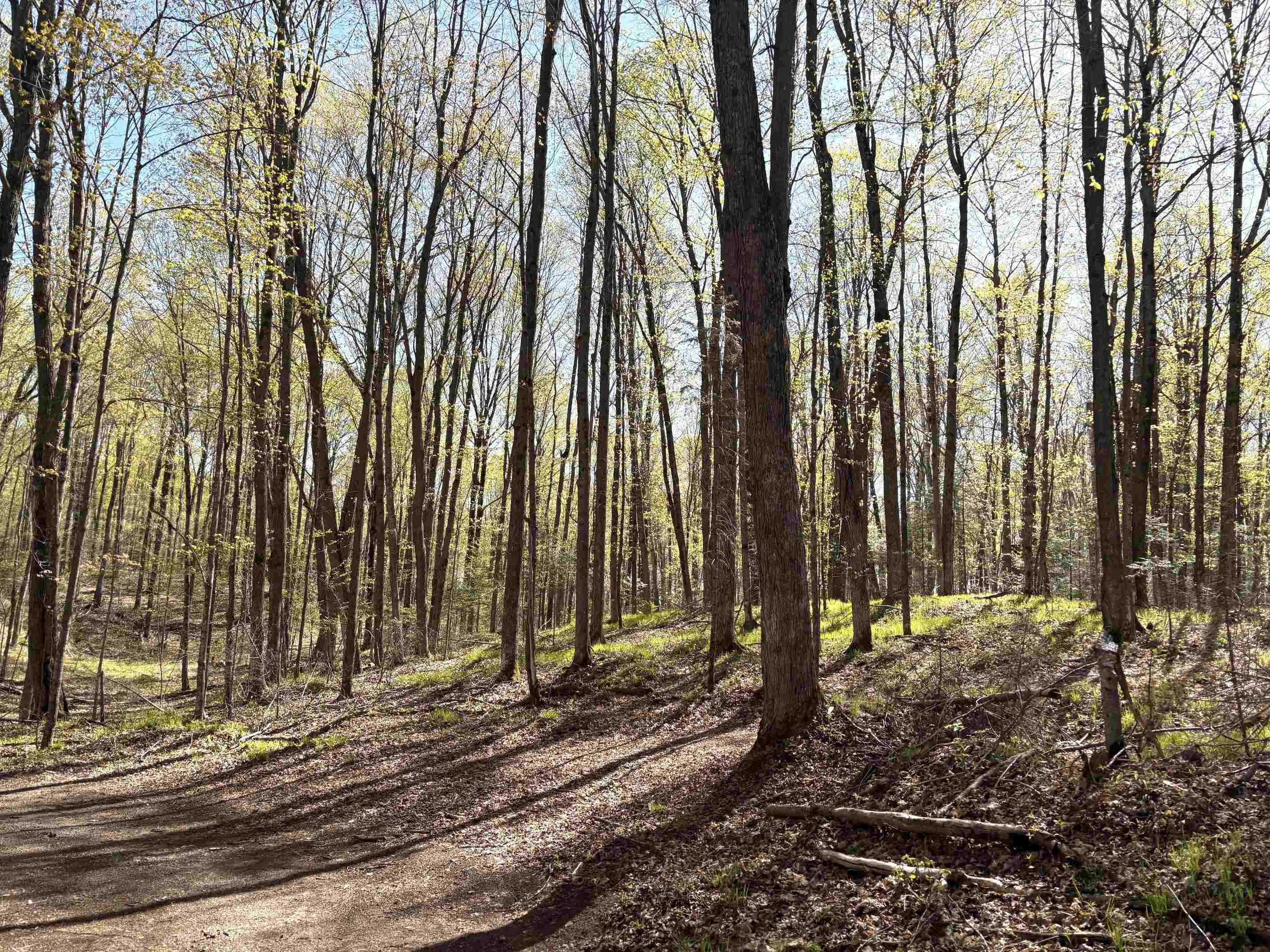 1199 W BLACKBERRY LANE, Gleason, Wisconsin 54435, ,Land,For Sale,1199 W BLACKBERRY LANE,22605159