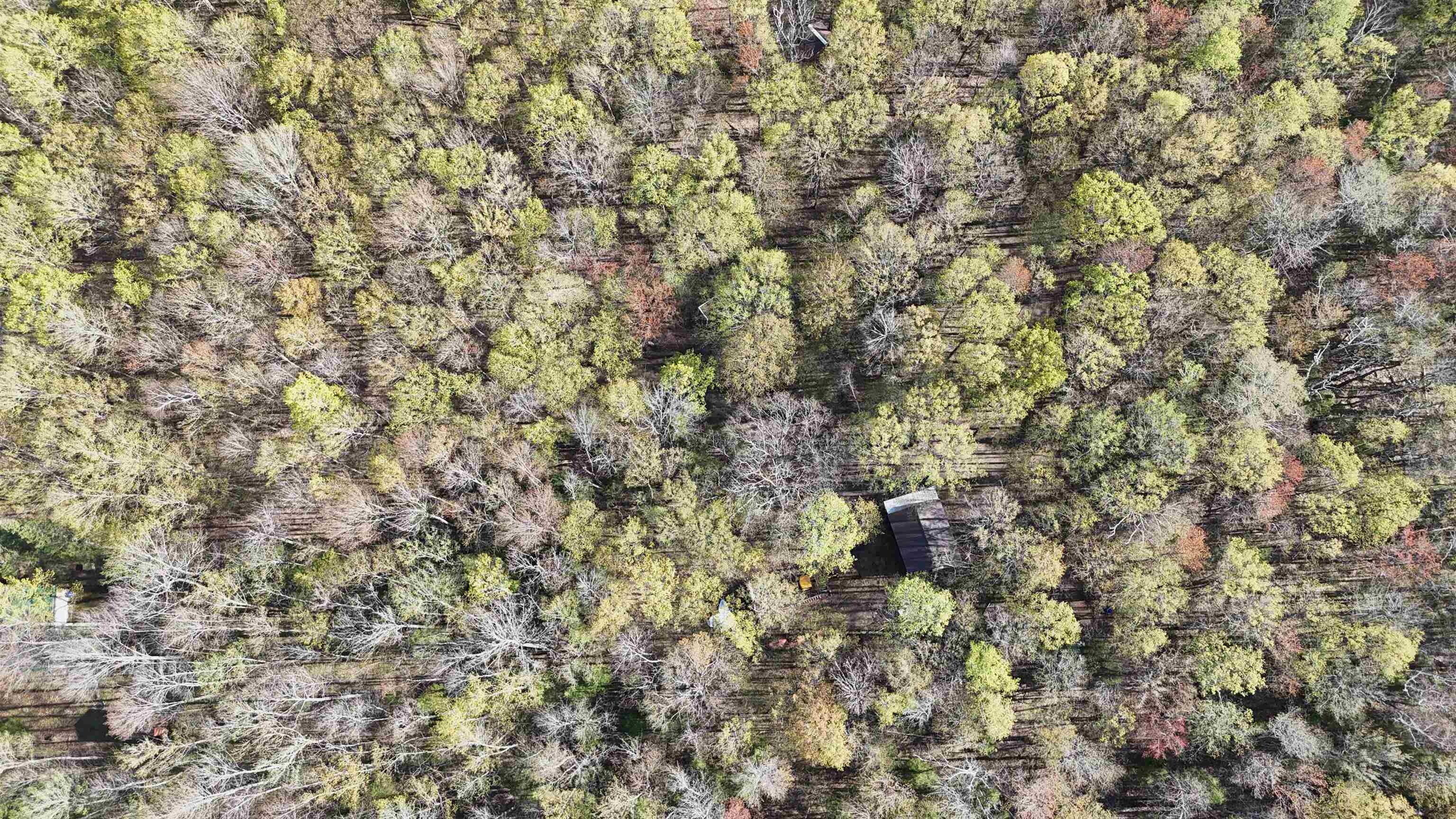 1199 W BLACKBERRY LANE, Gleason, Wisconsin 54435, ,Land,For Sale,1199 W BLACKBERRY LANE,22605159