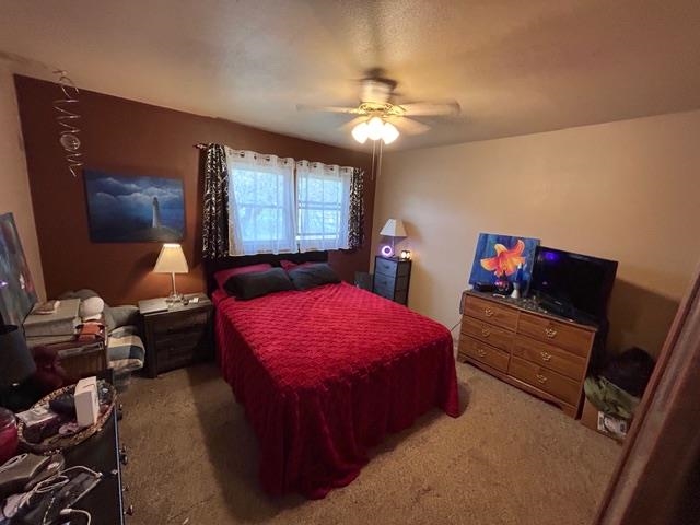 2354-2356 TOWER ROAD, Mosinee, Wisconsin 54455, ,Multi-family,For Sale,2354-2356 TOWER ROAD,22605172