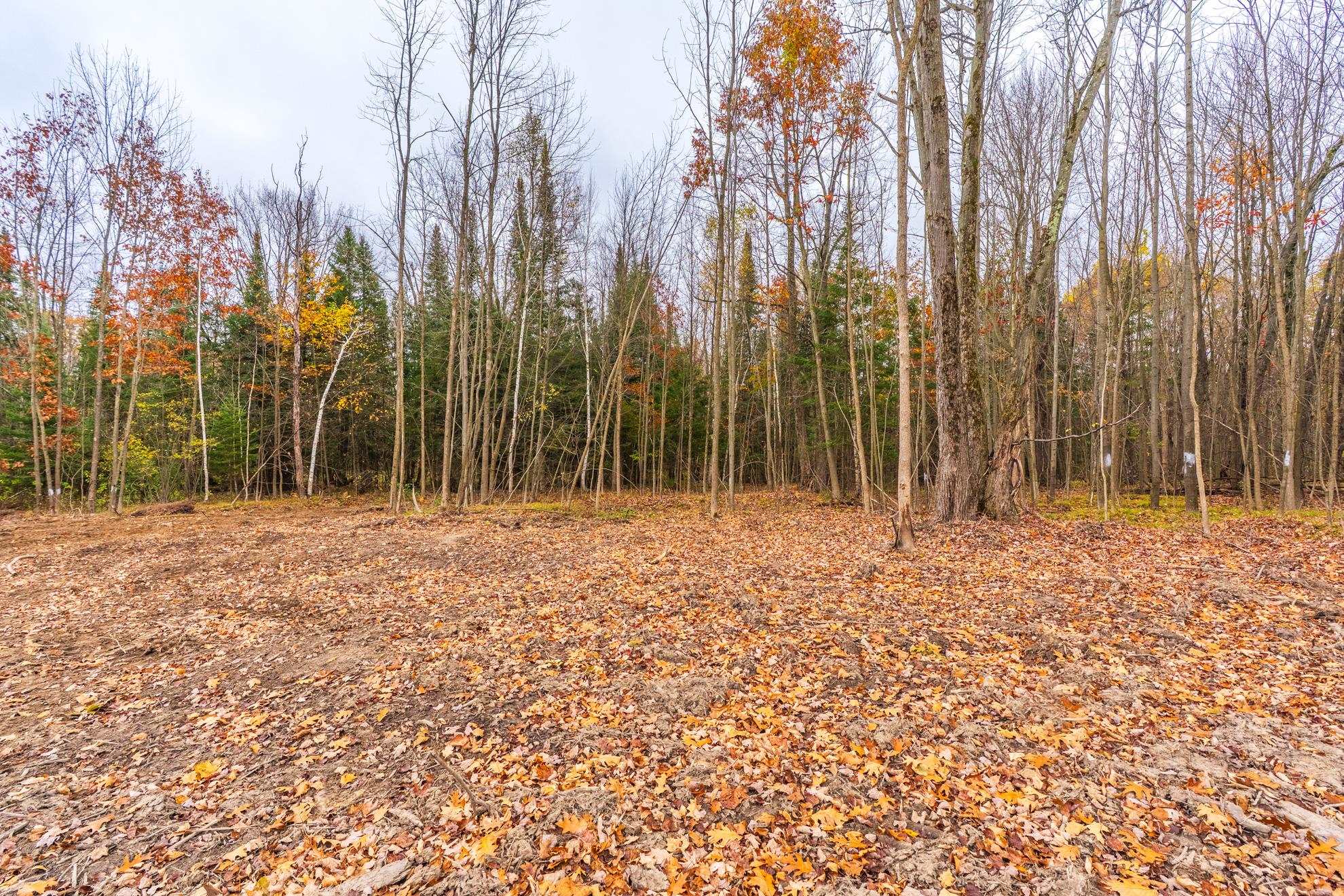 2295 FOREST ROAD, Mosinee, Wisconsin 54455, ,Land,For Sale,2295 FOREST ROAD,22605197