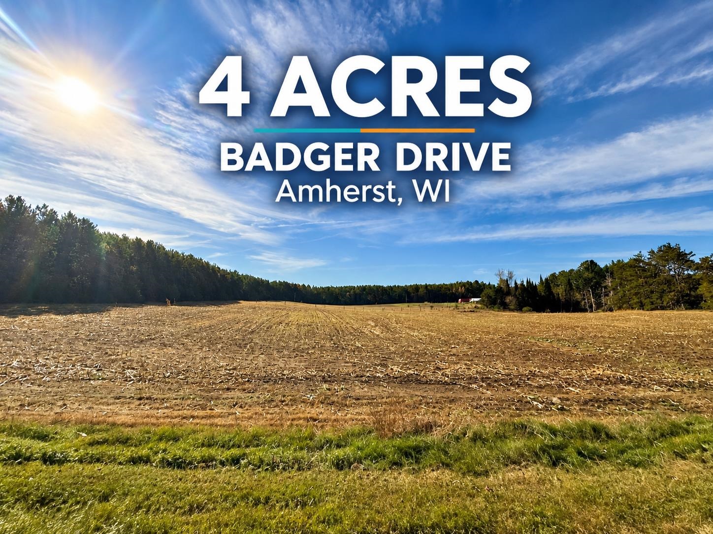 00 BADGER DRIVE, Amherst, Wisconsin 54406, ,Land,For Sale,00 BADGER DRIVE,22605211