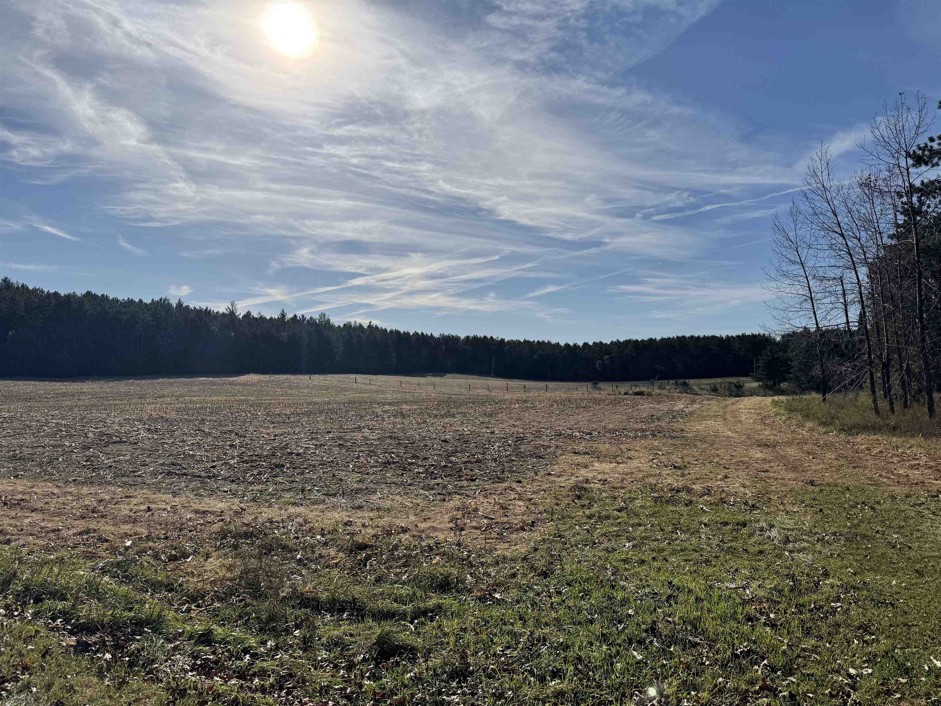 00 BADGER DRIVE, Amherst, Wisconsin 54406, ,Land,For Sale,00 BADGER DRIVE,22605211
