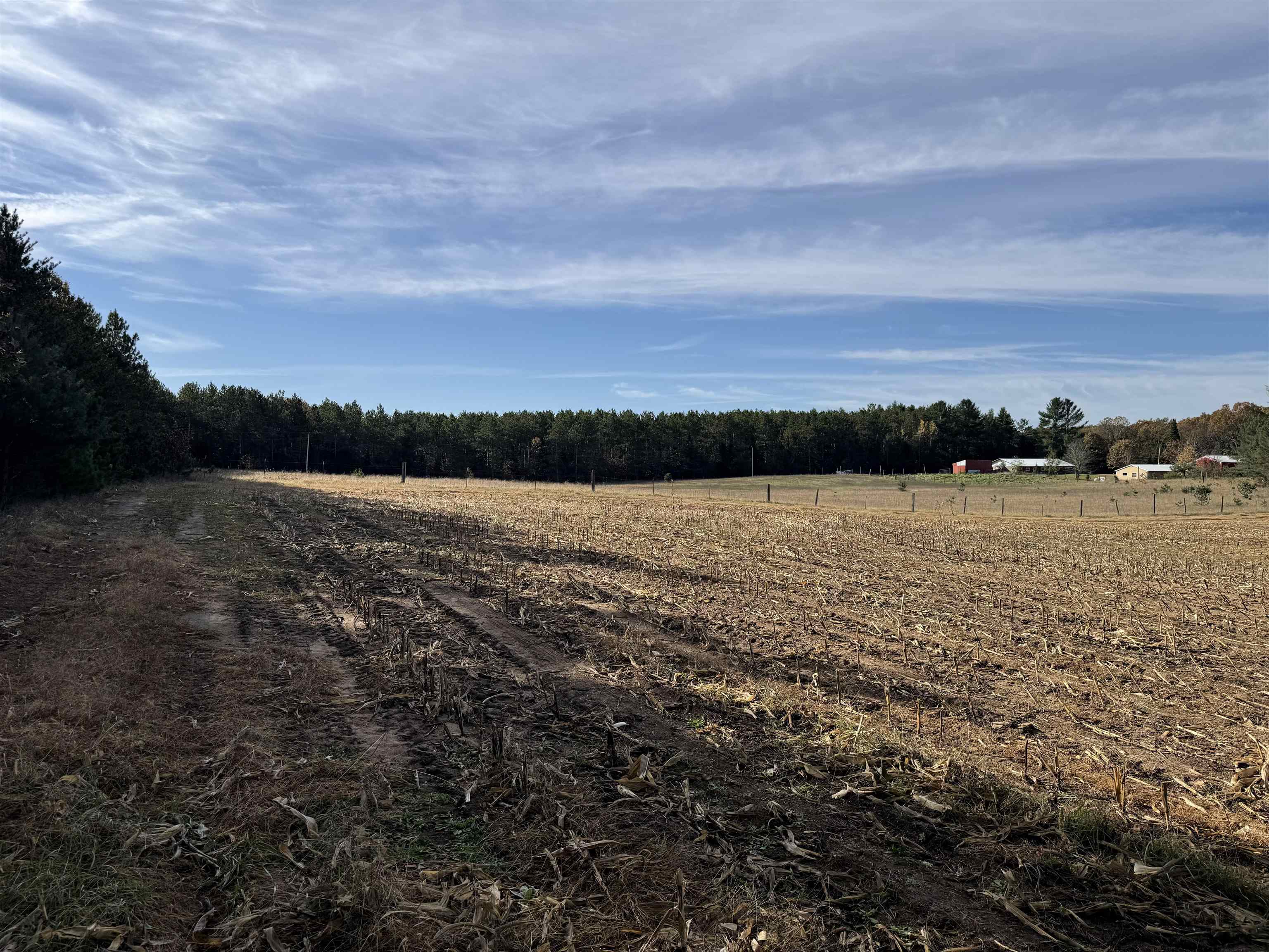 00 BADGER DRIVE, Amherst, Wisconsin 54406, ,Land,For Sale,00 BADGER DRIVE,22605211