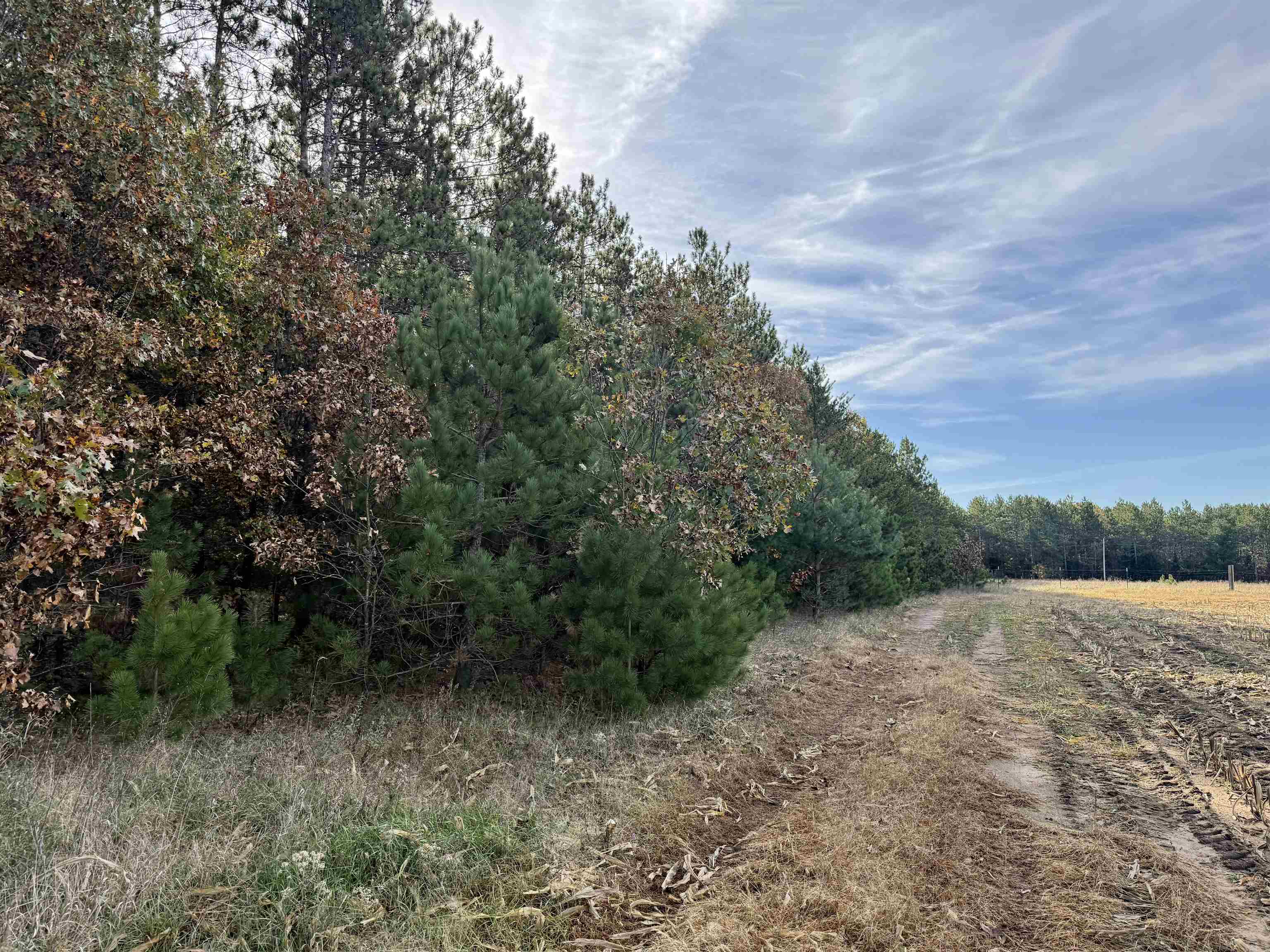 00 BADGER DRIVE, Amherst, Wisconsin 54406, ,Land,For Sale,00 BADGER DRIVE,22605211