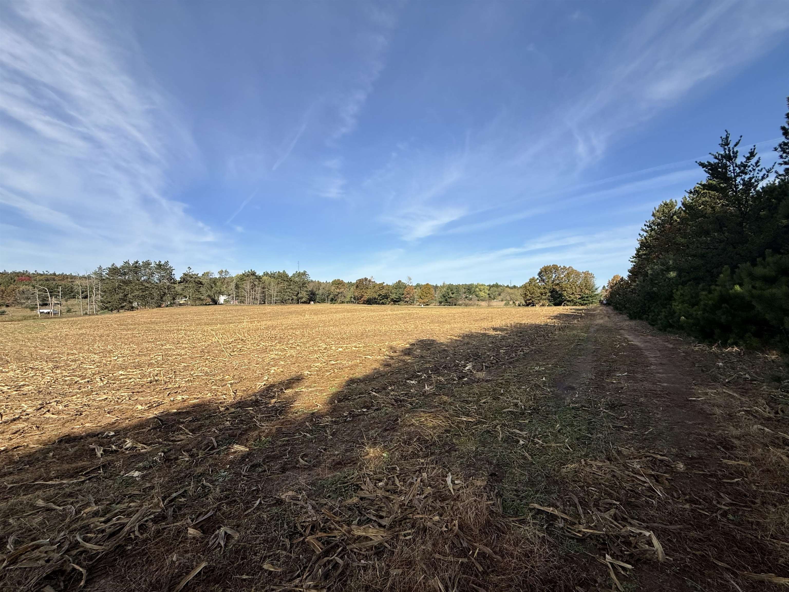 00 BADGER DRIVE, Amherst, Wisconsin 54406, ,Land,For Sale,00 BADGER DRIVE,22605211