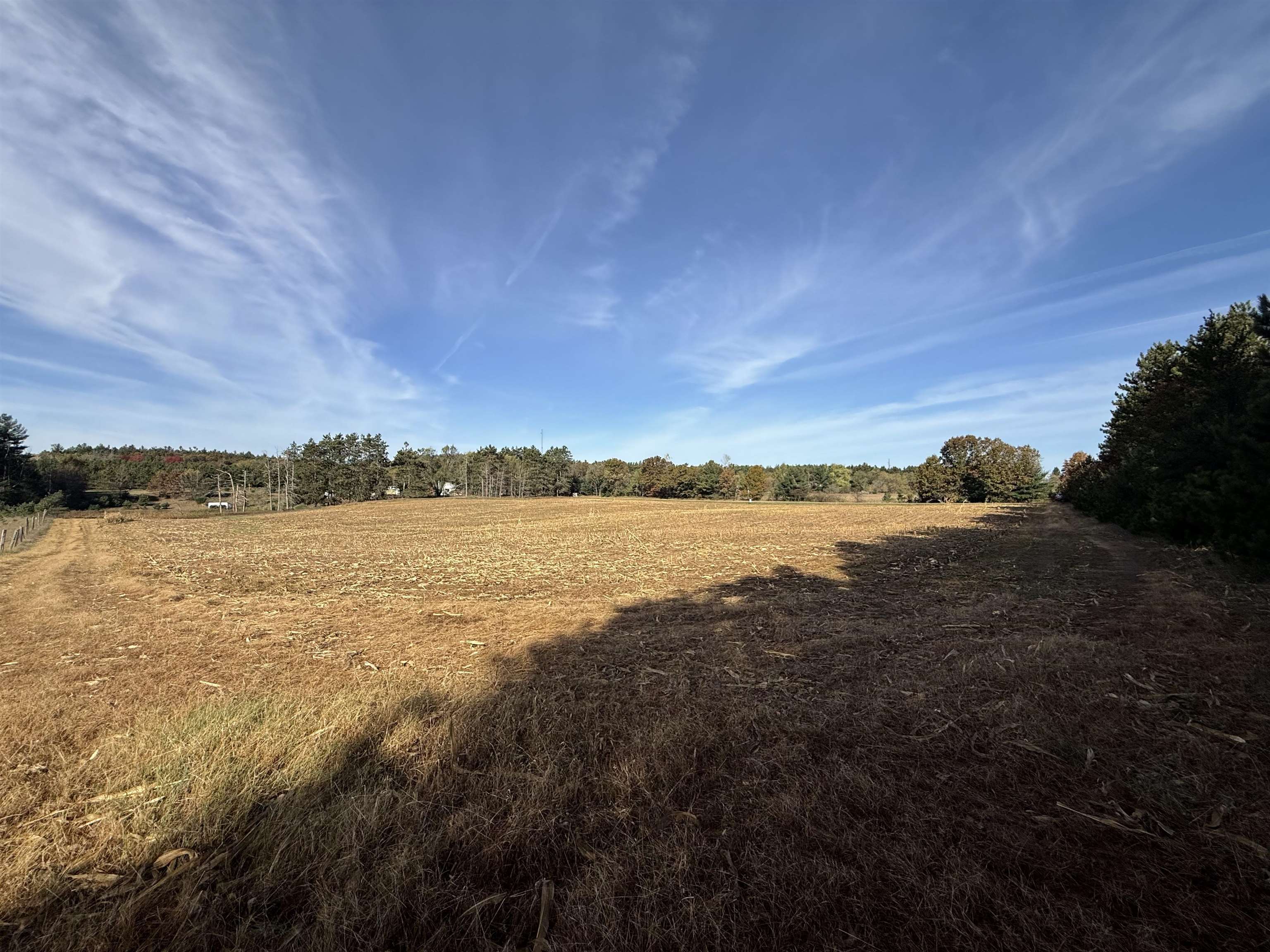 00 BADGER DRIVE, Amherst, Wisconsin 54406, ,Land,For Sale,00 BADGER DRIVE,22605211