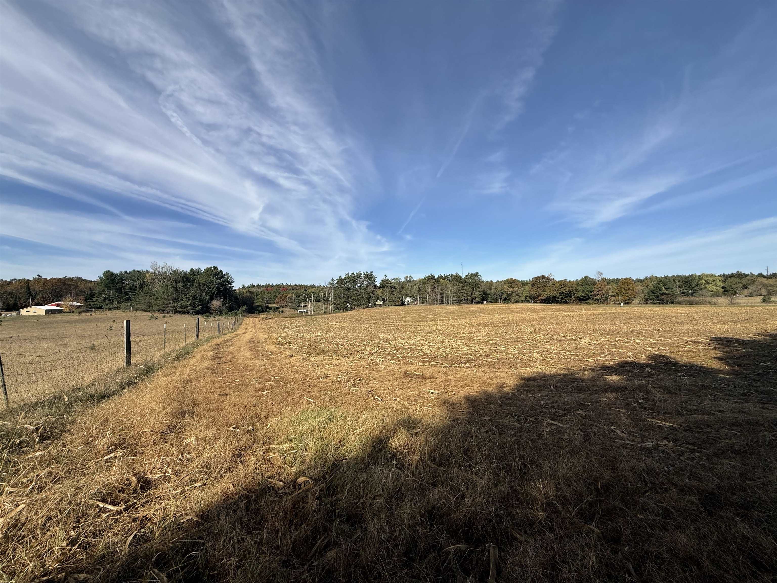 00 BADGER DRIVE, Amherst, Wisconsin 54406, ,Land,For Sale,00 BADGER DRIVE,22605211