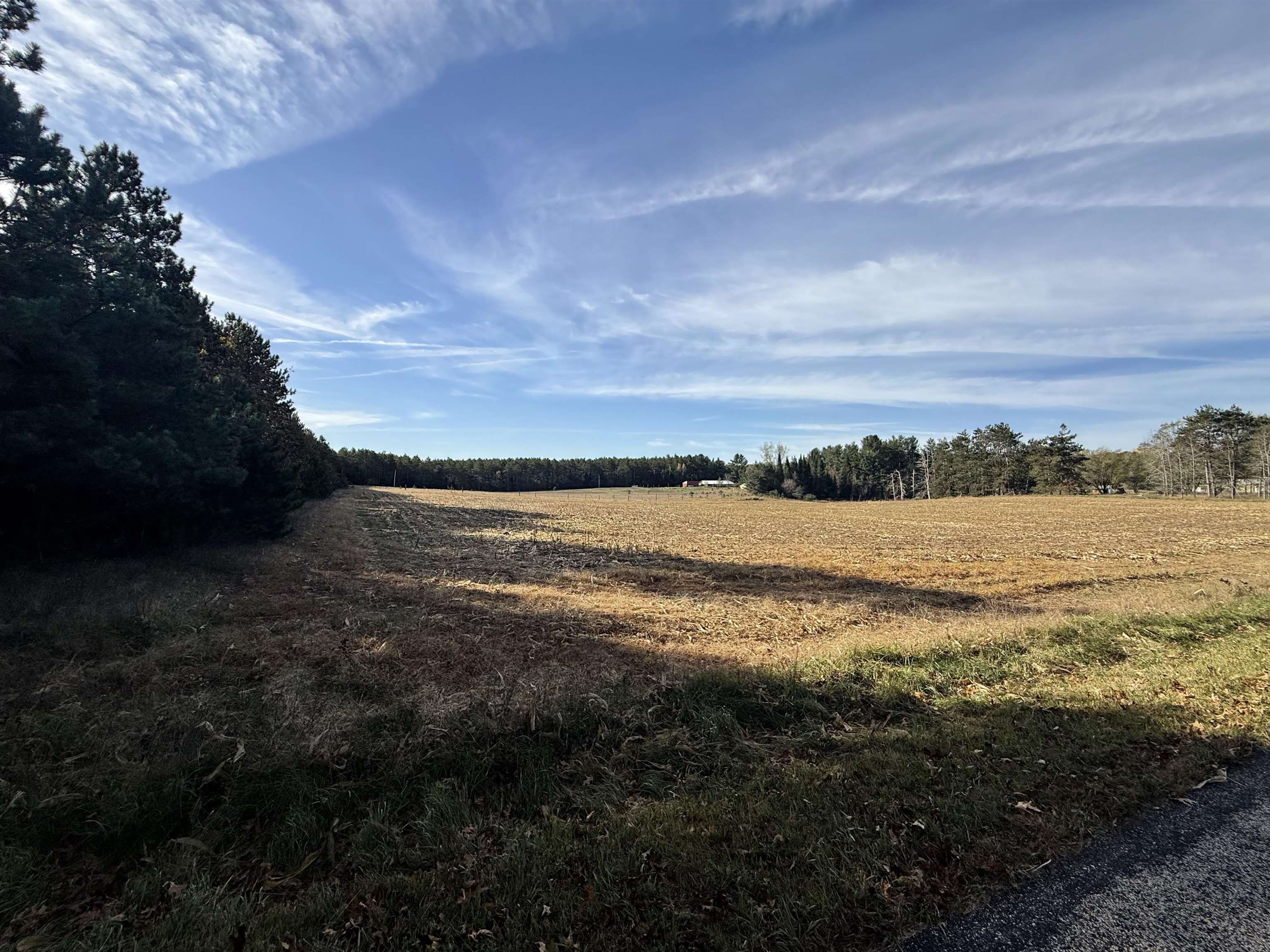 00 BADGER DRIVE, Amherst, Wisconsin 54406, ,Land,For Sale,00 BADGER DRIVE,22605211