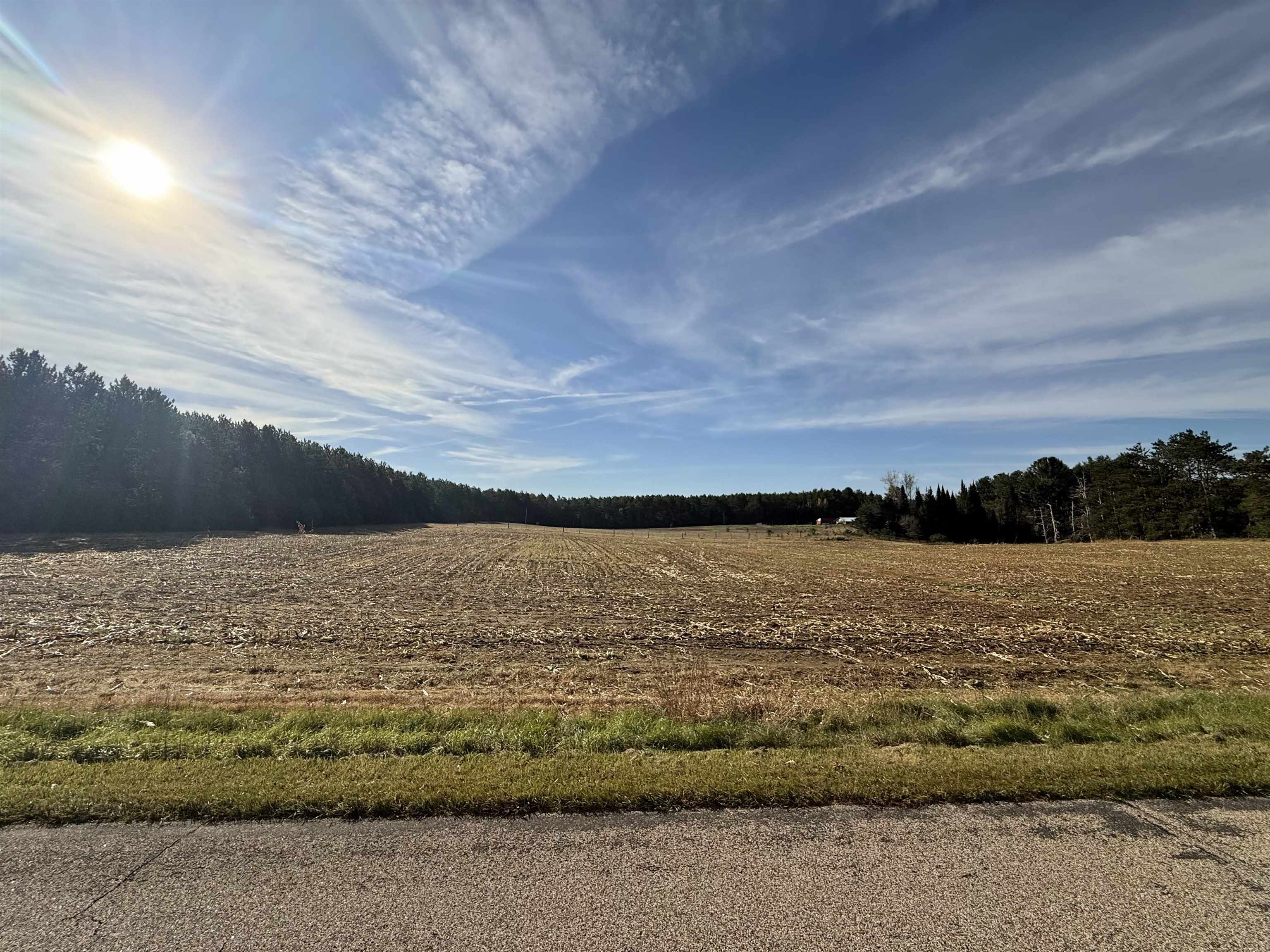 00 BADGER DRIVE, Amherst, Wisconsin 54406, ,Land,For Sale,00 BADGER DRIVE,22605211
