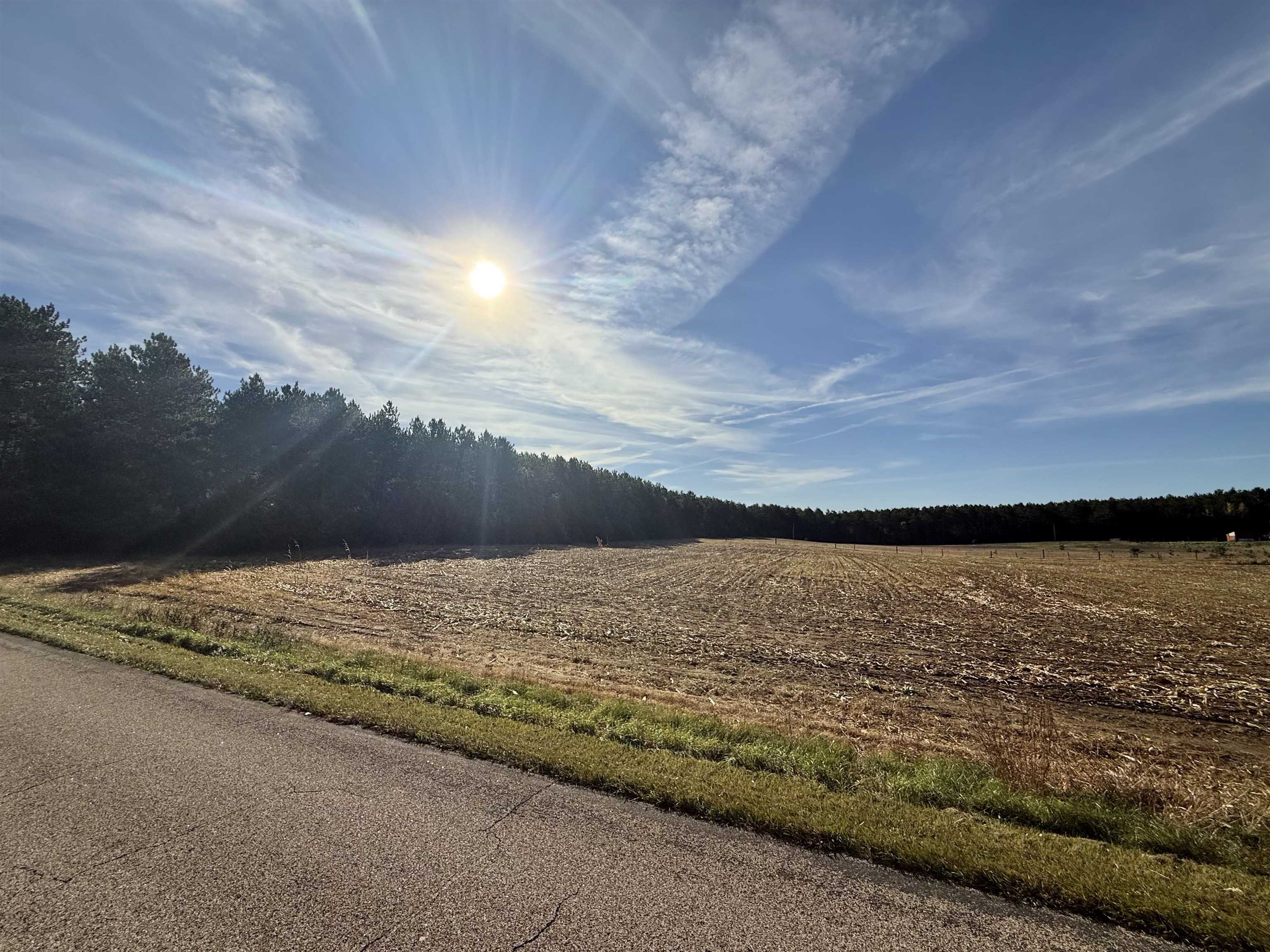 00 BADGER DRIVE, Amherst, Wisconsin 54406, ,Land,For Sale,00 BADGER DRIVE,22605211