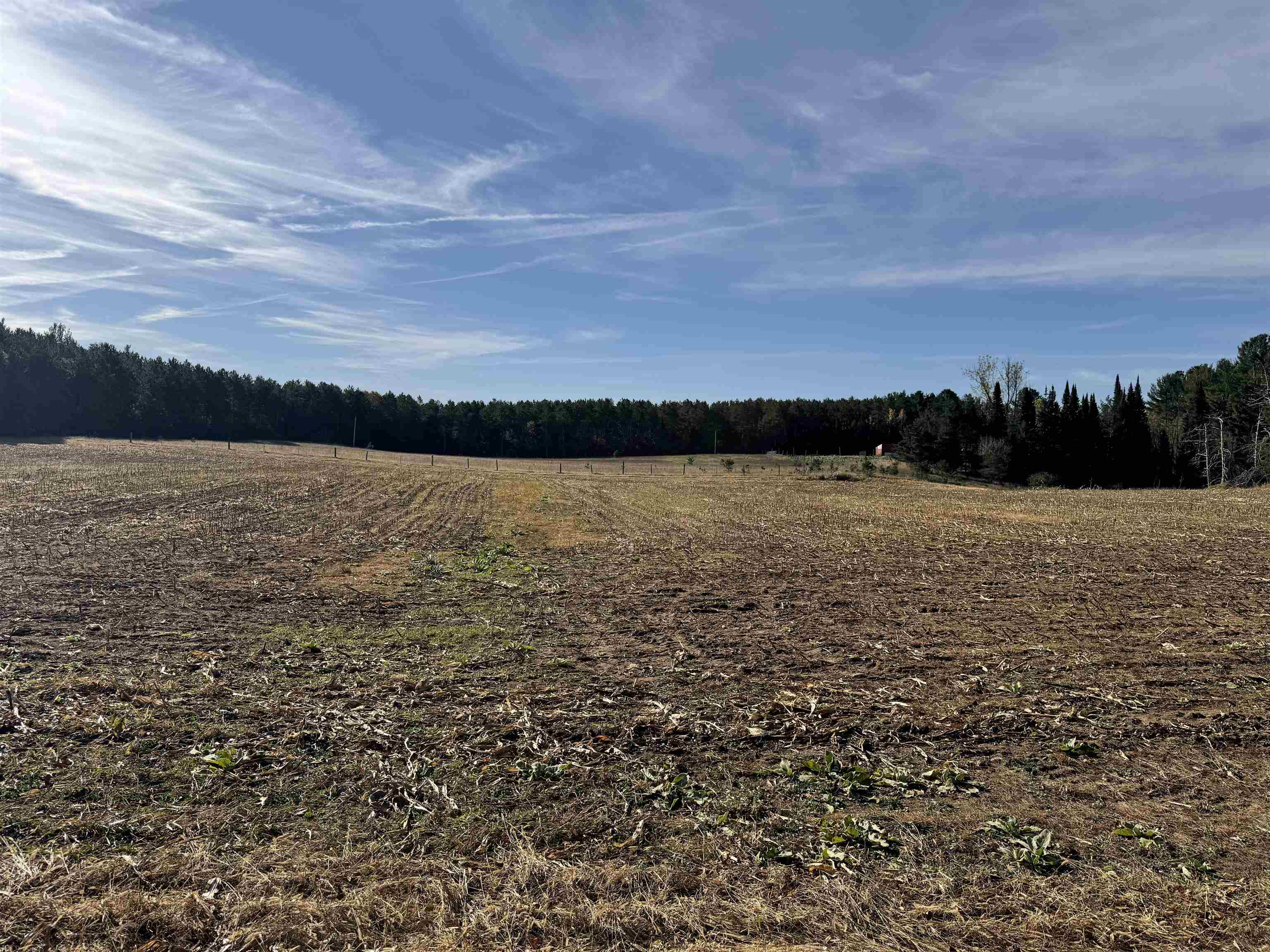 00 BADGER DRIVE, Amherst, Wisconsin 54406, ,Land,For Sale,00 BADGER DRIVE,22605211