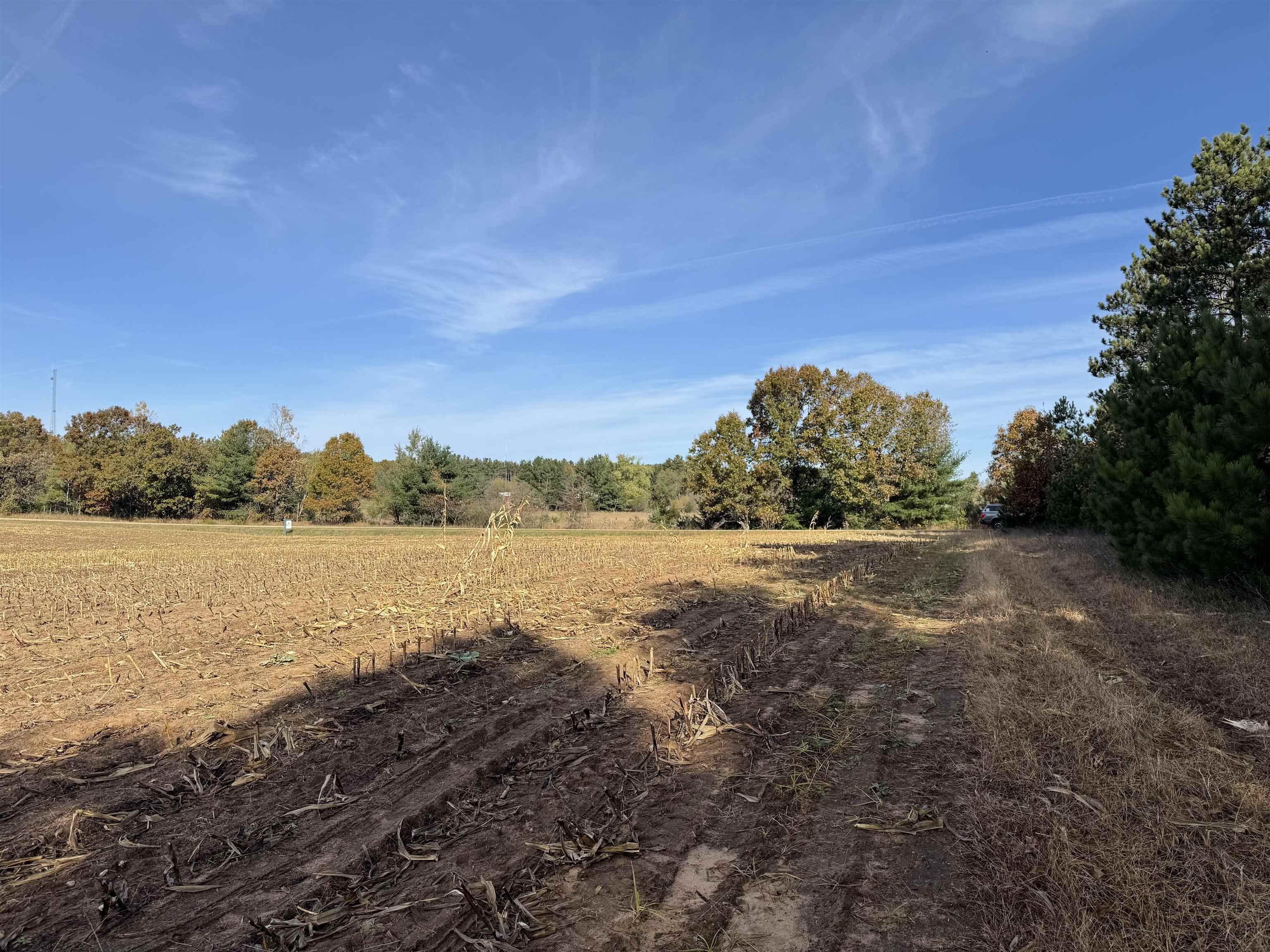 00 BADGER DRIVE, Amherst, Wisconsin 54406, ,Land,For Sale,00 BADGER DRIVE,22605211