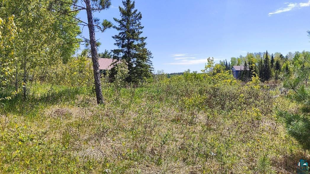 80046 Alder Ln, Tower, MN 55790 Listing Photo  5