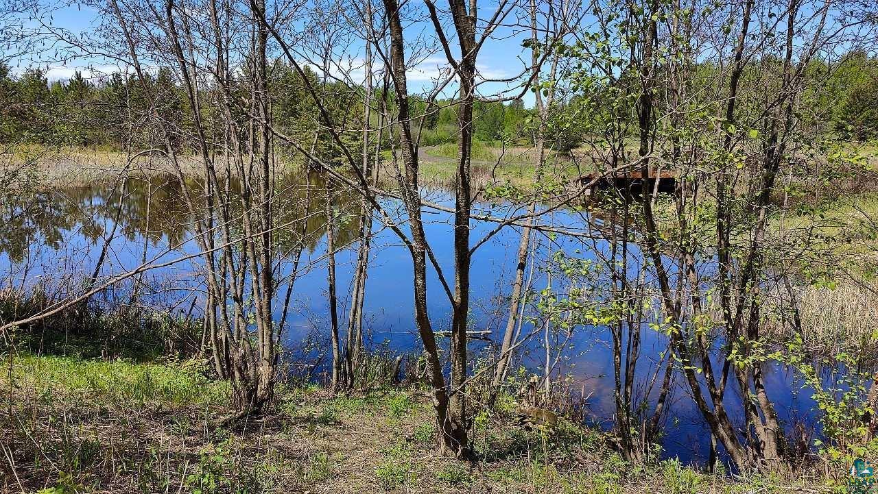 80086 Waters of Vermilion Rd, Tower, MN 55790 Listing Photo  4