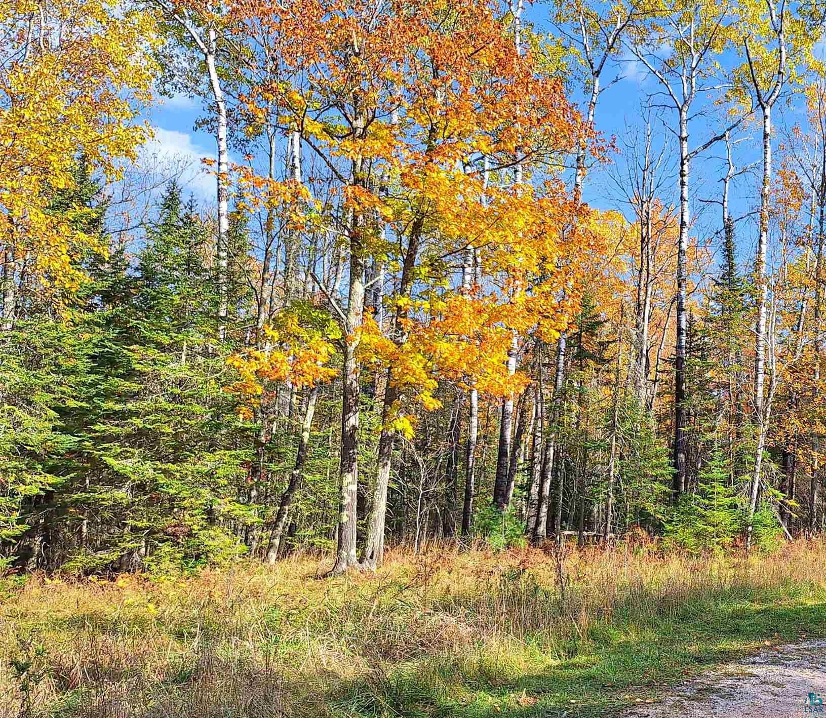 Lot 3, Block 1 Raspberry Trl, LaPointe, WI 54850 Listing Photo  6