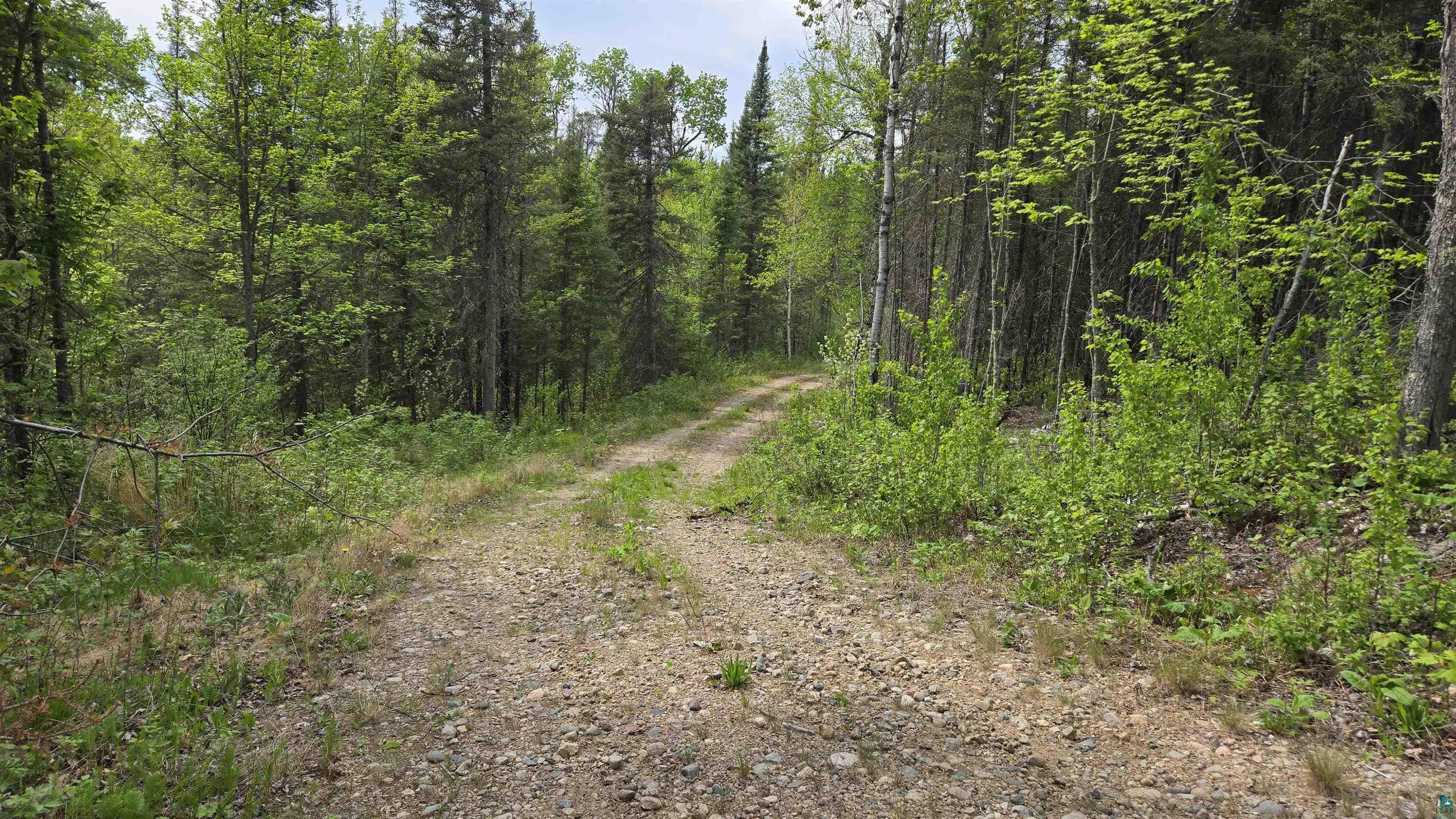 7316 Crane Lake Rd, Crane Lake, MN 55725 Listing Photo  3