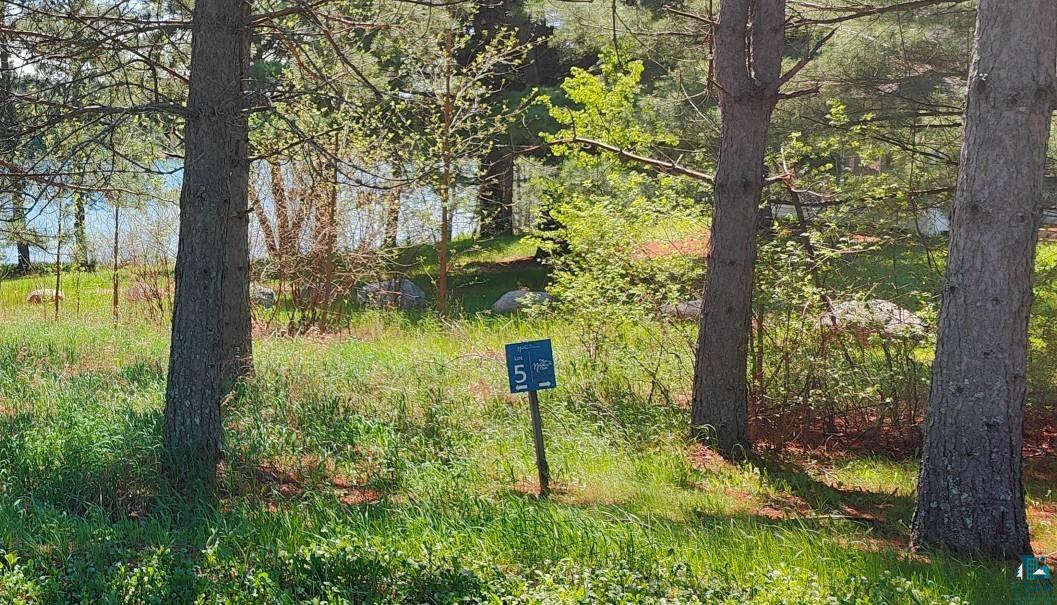 80075 Waters of Vermilion Rd, Tower, MN 55790 Listing Photo  6