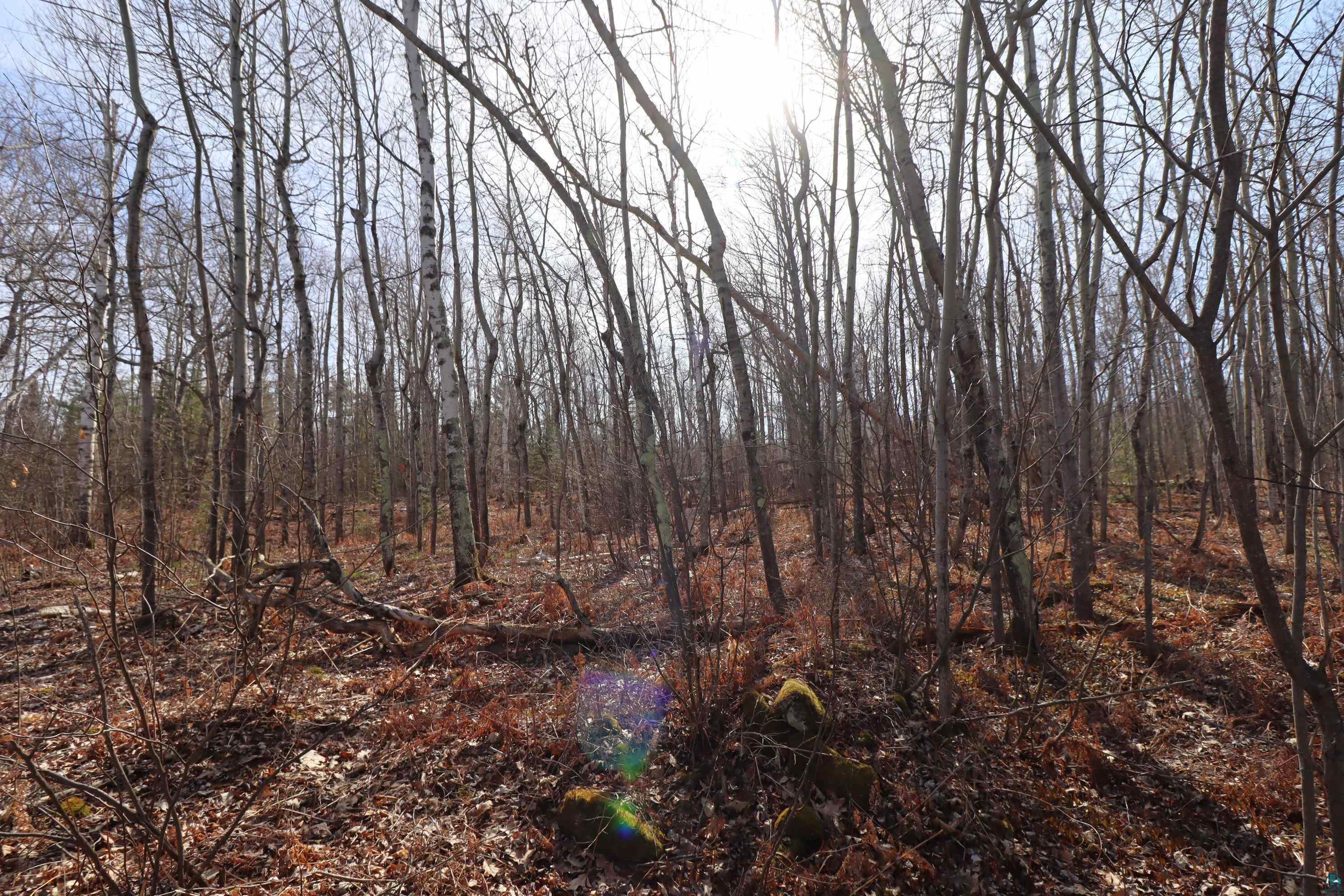 83XXX State Hwy 13, Bayfield, WI 54814 Listing Photo  21