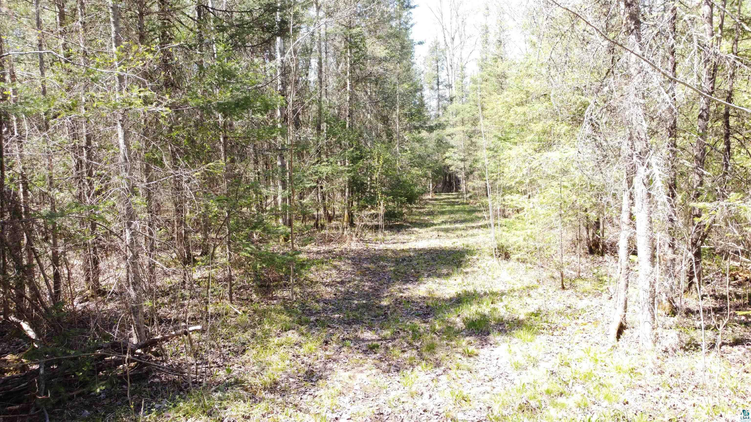 1170 County Hwy B, Brule, WI 54820 Listing Photo  23