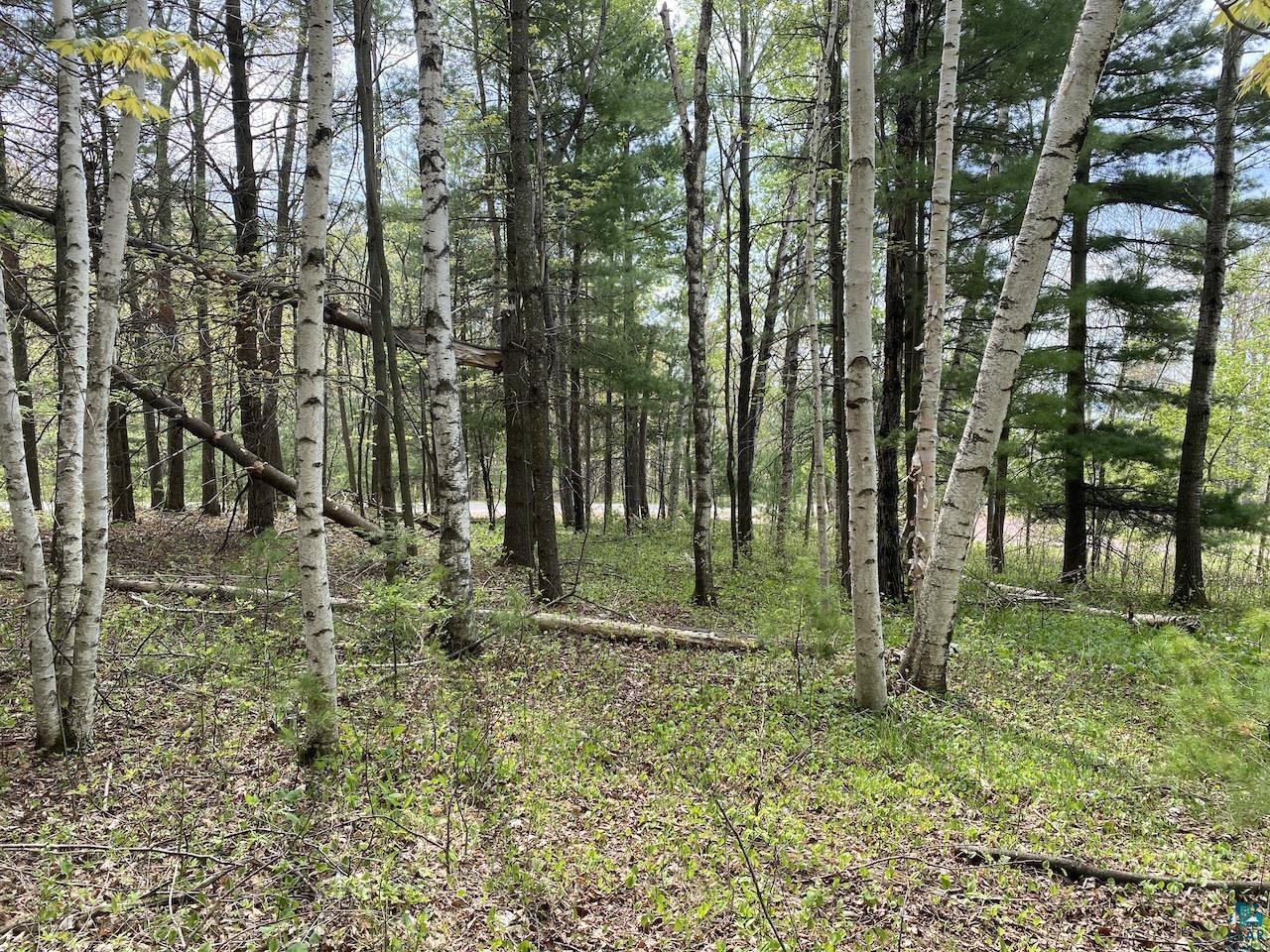000 W 12th St, Washburn, WI 54891 Listing Photo  13