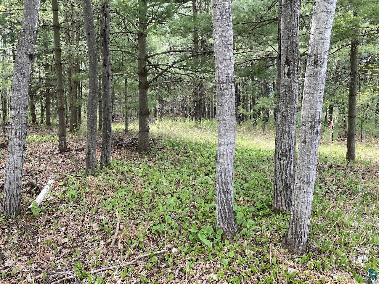 000 W 12th St, Washburn, WI 54891 Listing Photo  18