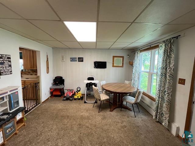 706 Clay St, Eveleth, MN 55734 Listing Photo  20