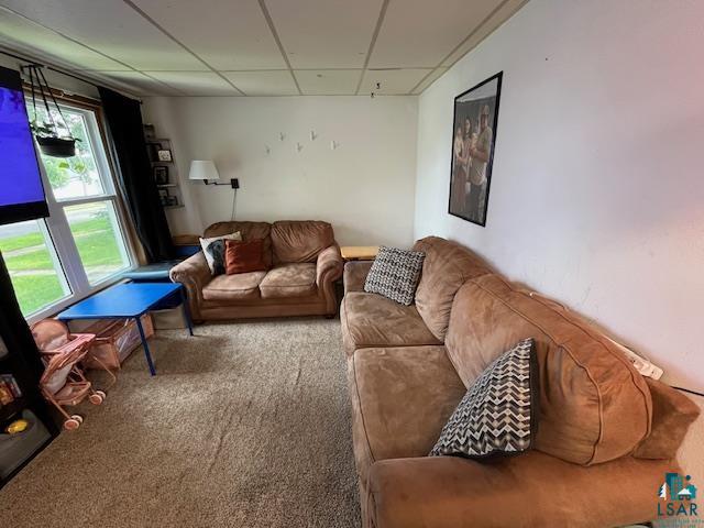 706 Clay St, Eveleth, MN 55734 Listing Photo  23