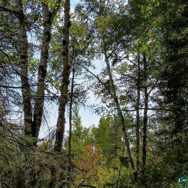 xxx Hoaglund Dr, Tofte, MN 55615 Listing Photo  1