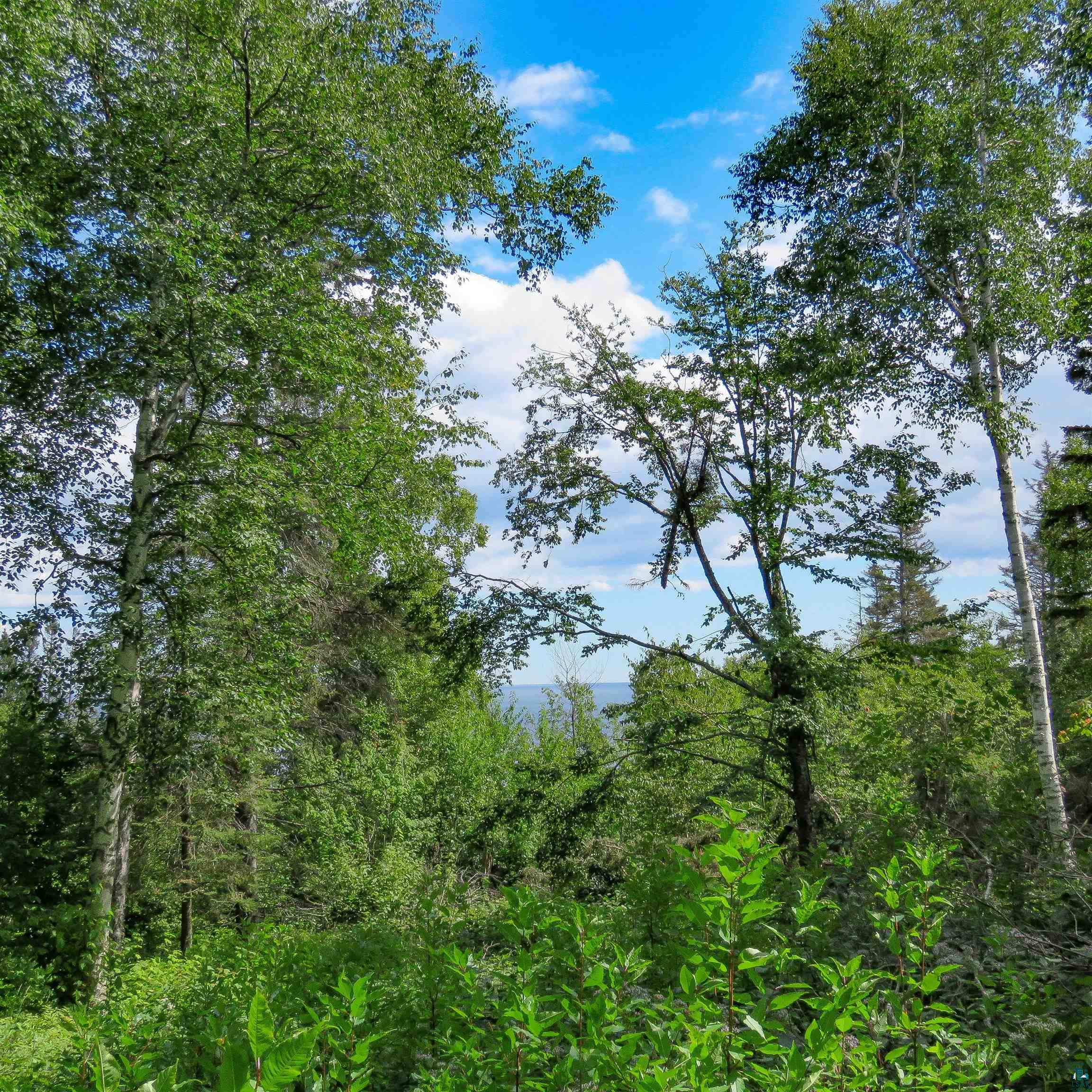 xxx Hoaglund Dr, Tofte, MN 55615 Listing Photo  17