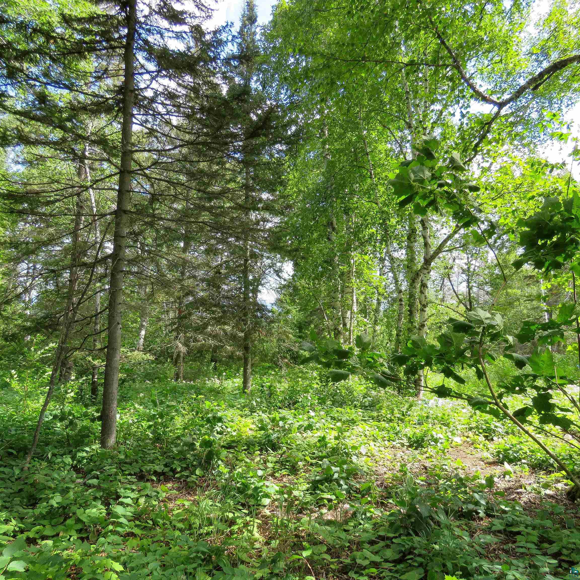 xxx Hoaglund Dr, Tofte, MN 55615 Listing Photo  29