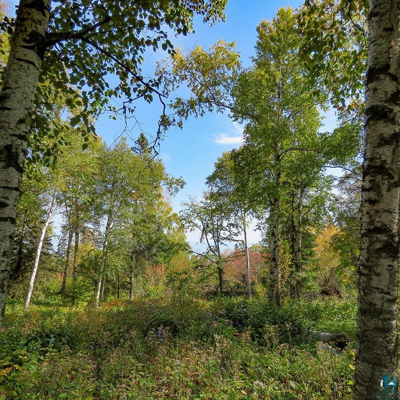 xxx Hoaglund Dr, Tofte, MN 55615 Listing Photo  49