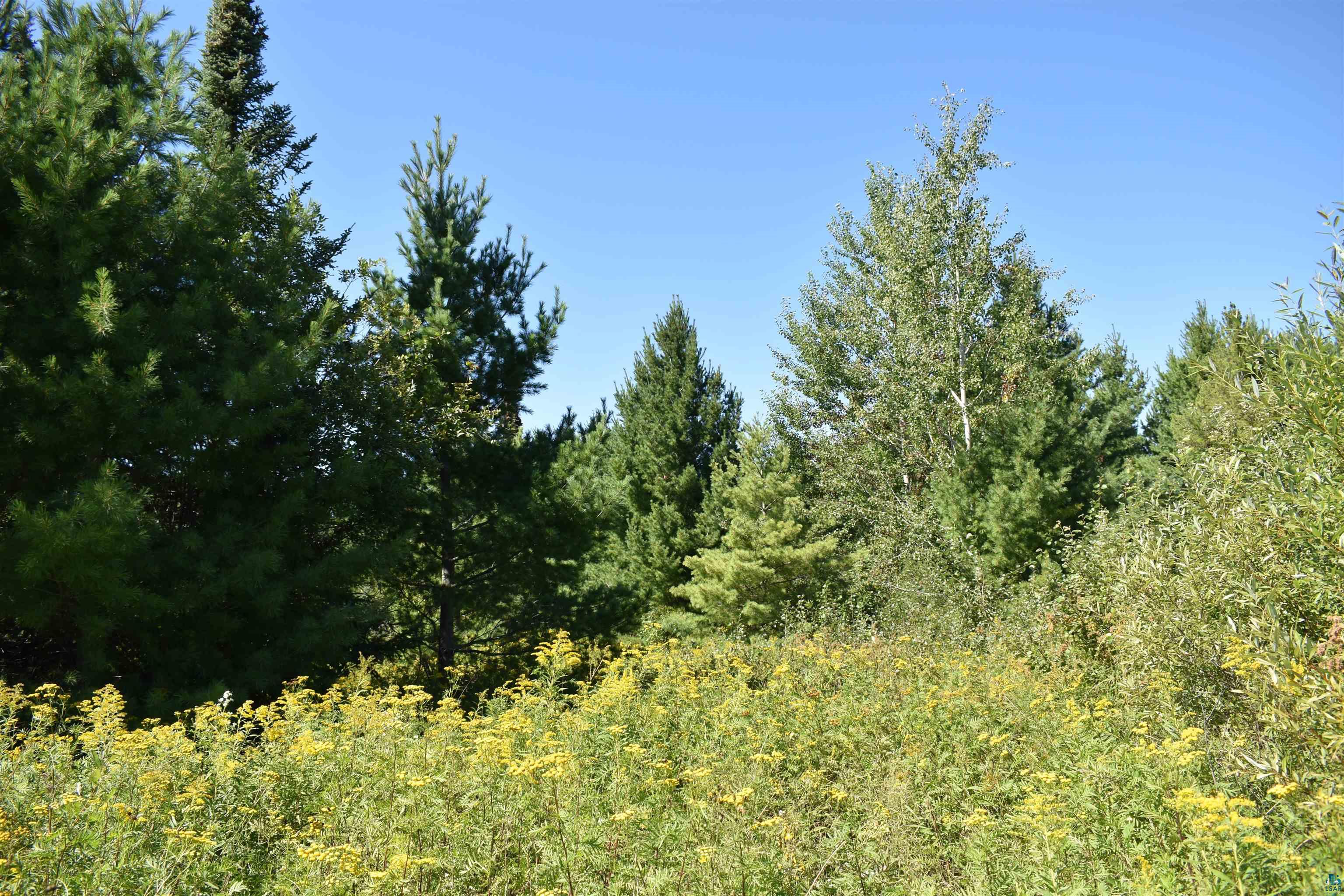 30210 Wannebo Rd, Washburn, WI 54891 Listing Photo  11
