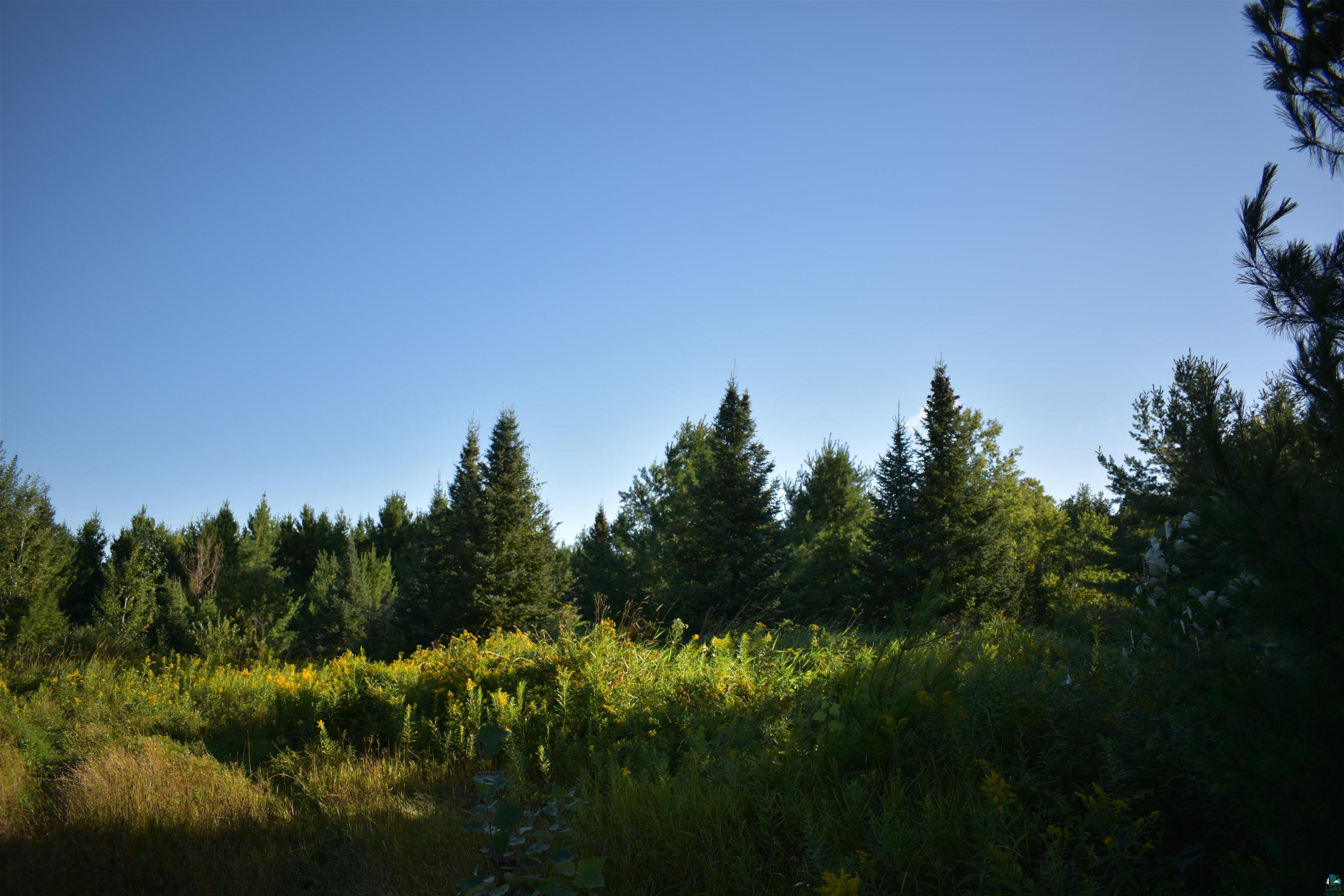 30210 Wannebo Rd, Washburn, WI 54891 Listing Photo  16