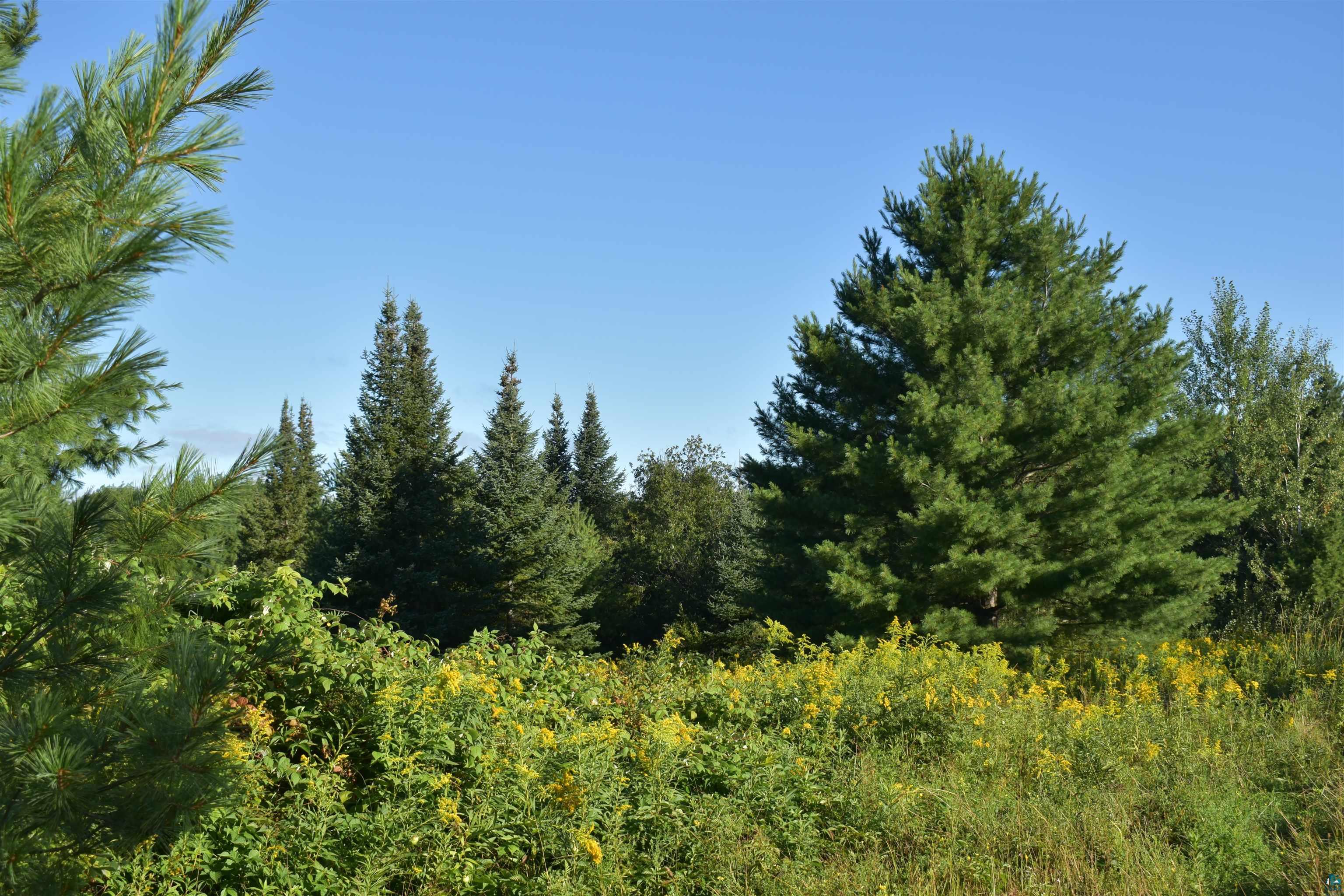 30210 Wannebo Rd, Washburn, WI 54891 Listing Photo  17