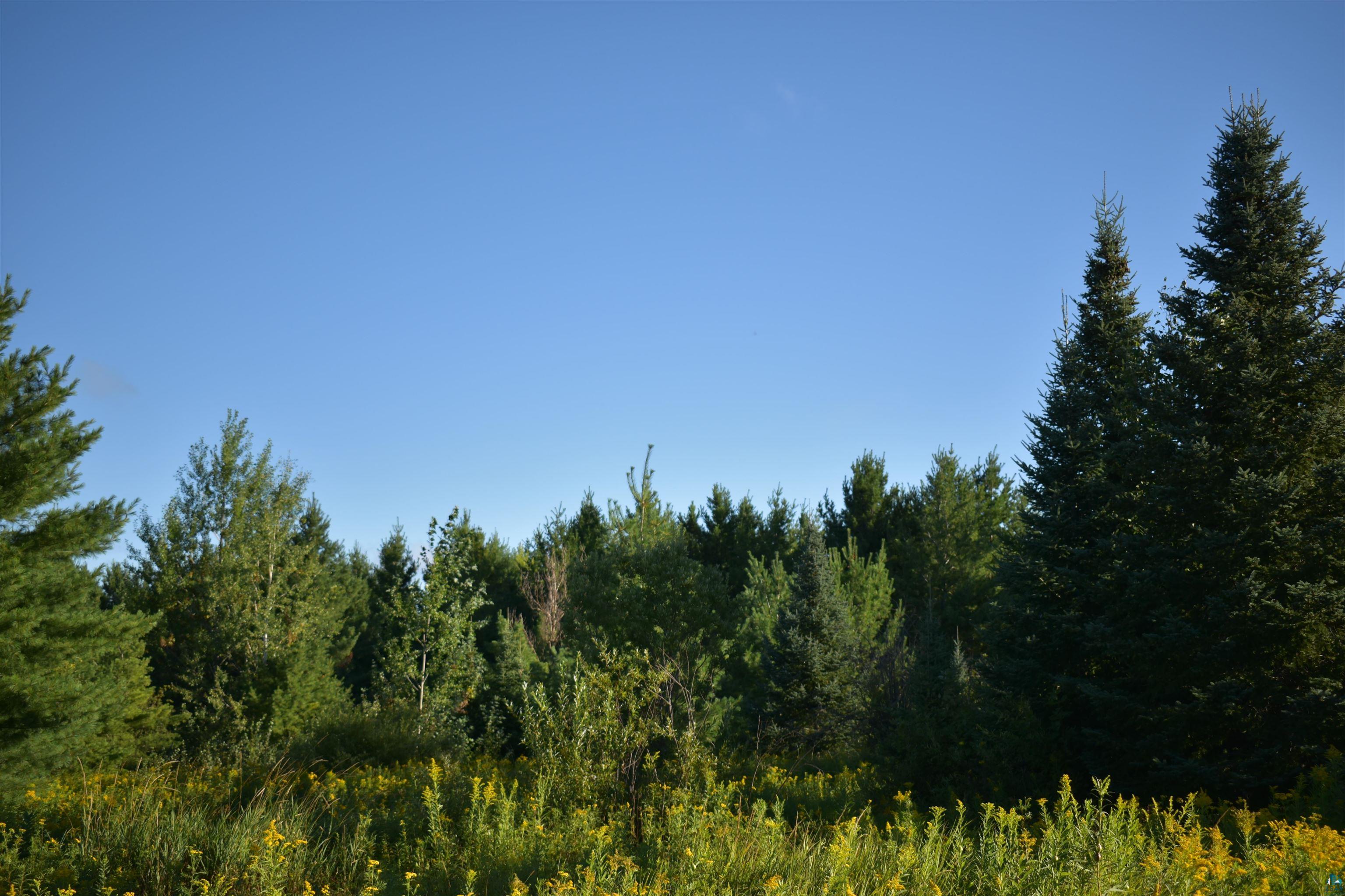30210 Wannebo Rd, Washburn, WI 54891 Listing Photo  19