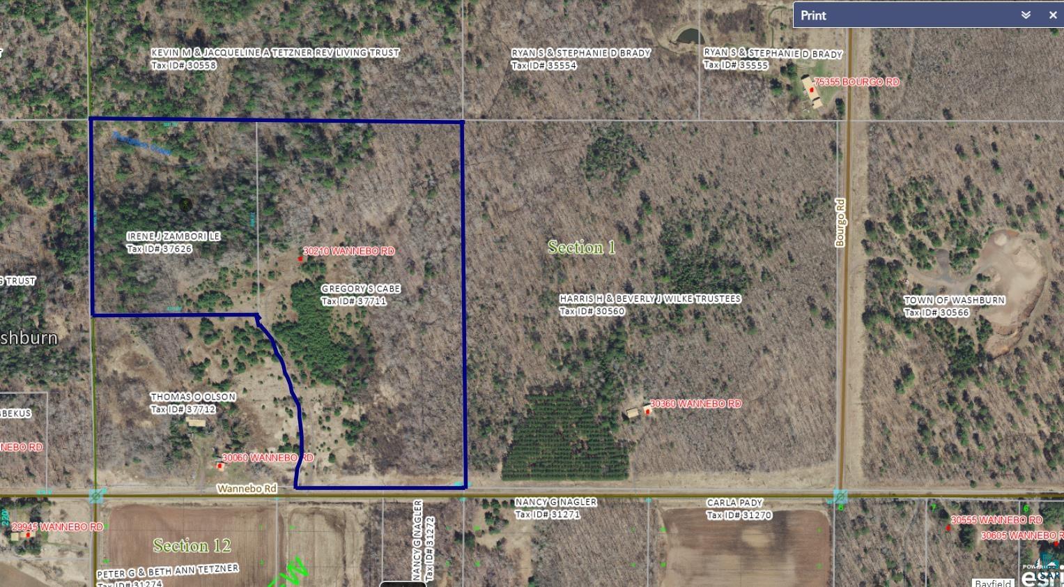 30210 Wannebo Rd, Washburn, WI 54891 Listing Photo  4