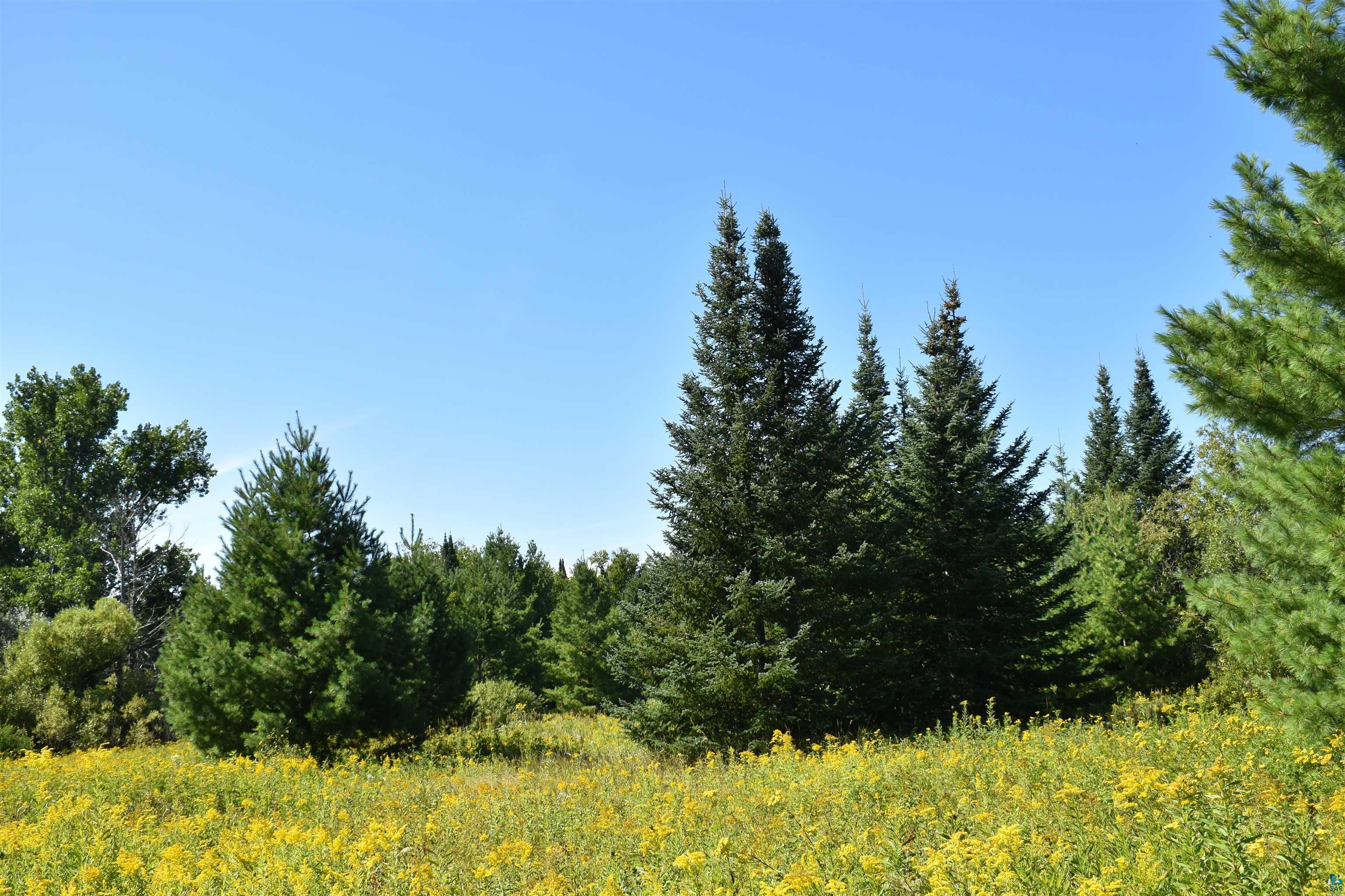 30210 Wannebo Rd, Washburn, WI 54891 Listing Photo  6