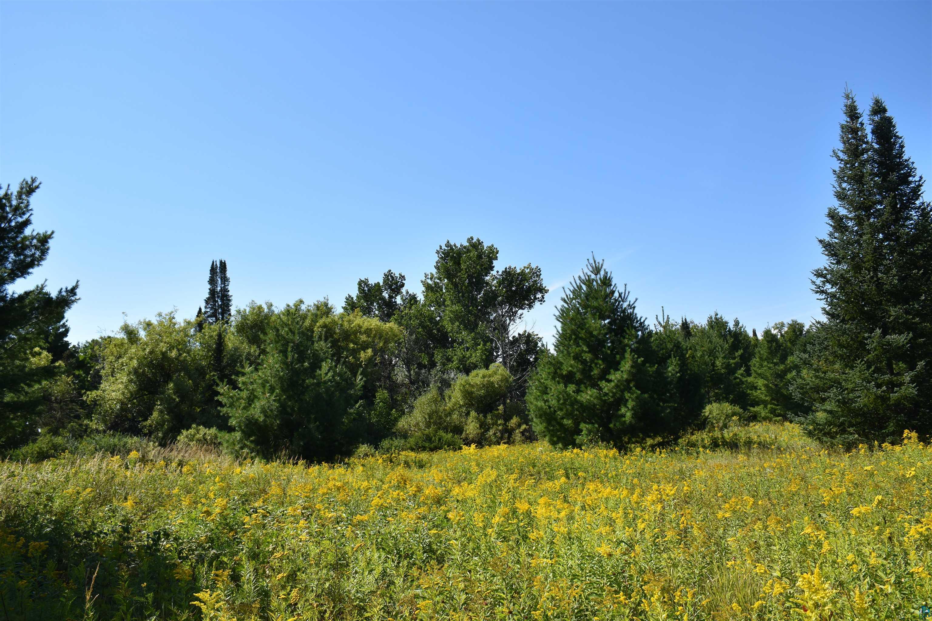 30210 Wannebo Rd, Washburn, WI 54891 Listing Photo  8
