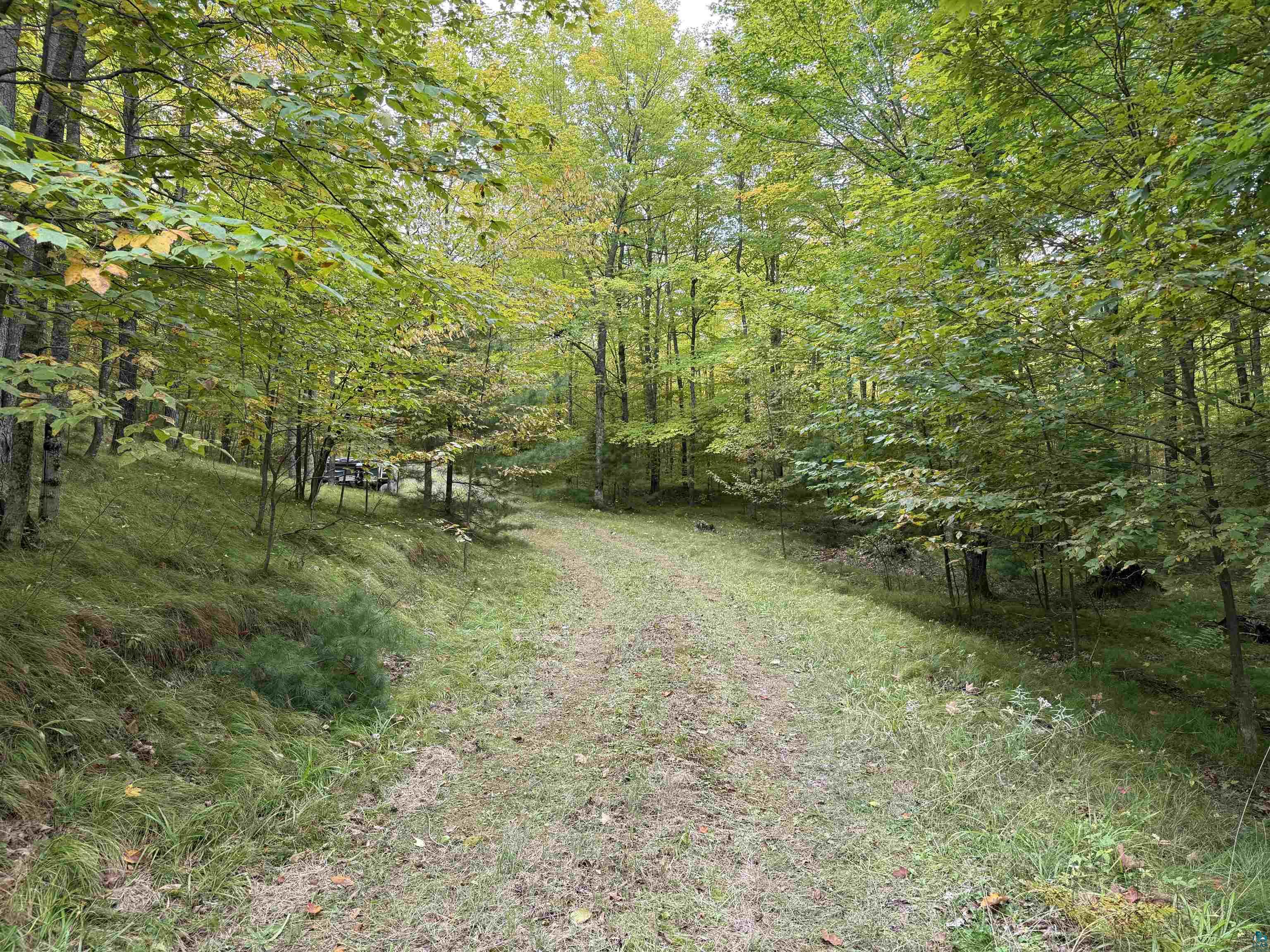 63380 Trout Lake Rd, Iron River, WI 54847 Listing Photo  34