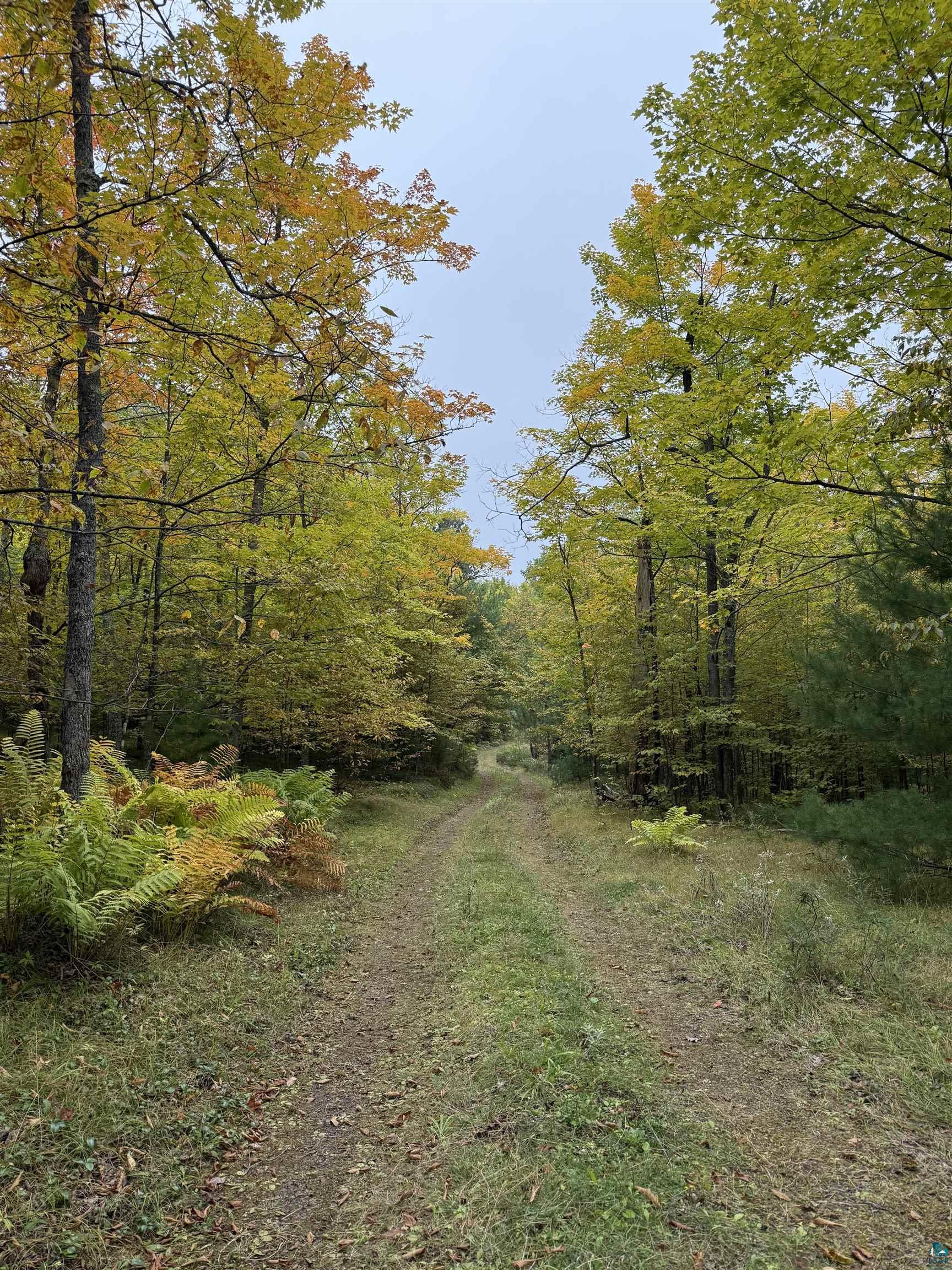 63380 Trout Lake Rd, Iron River, WI 54847 Listing Photo  35