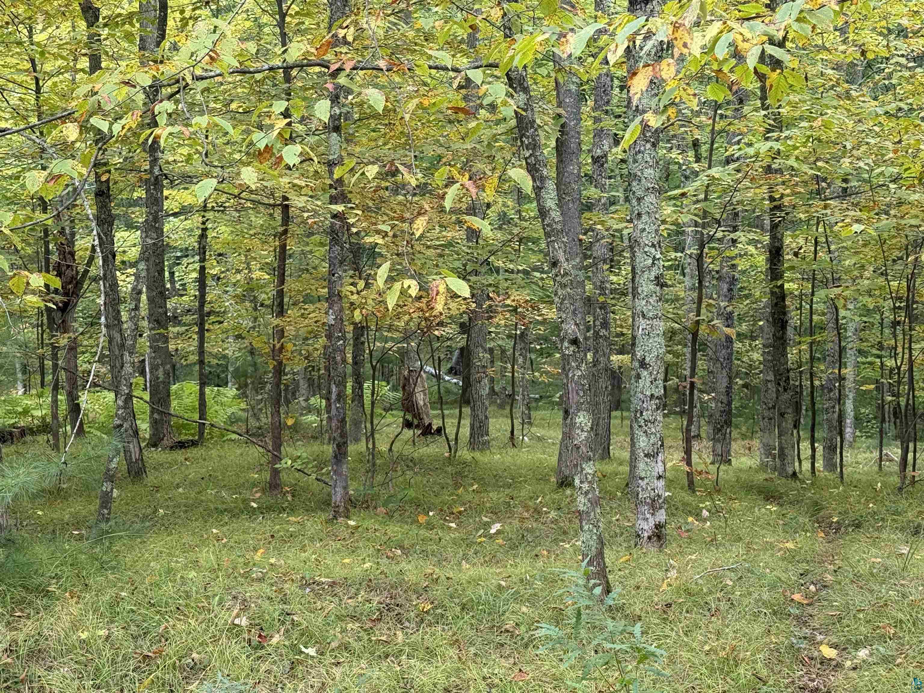 63380 Trout Lake Rd, Iron River, WI 54847 Listing Photo  36