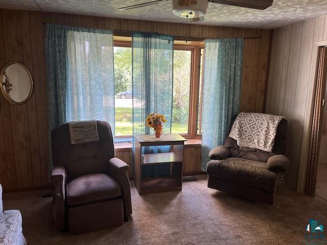 1909 Southern Dr, Virginia, MN 55792 Listing Photo  20