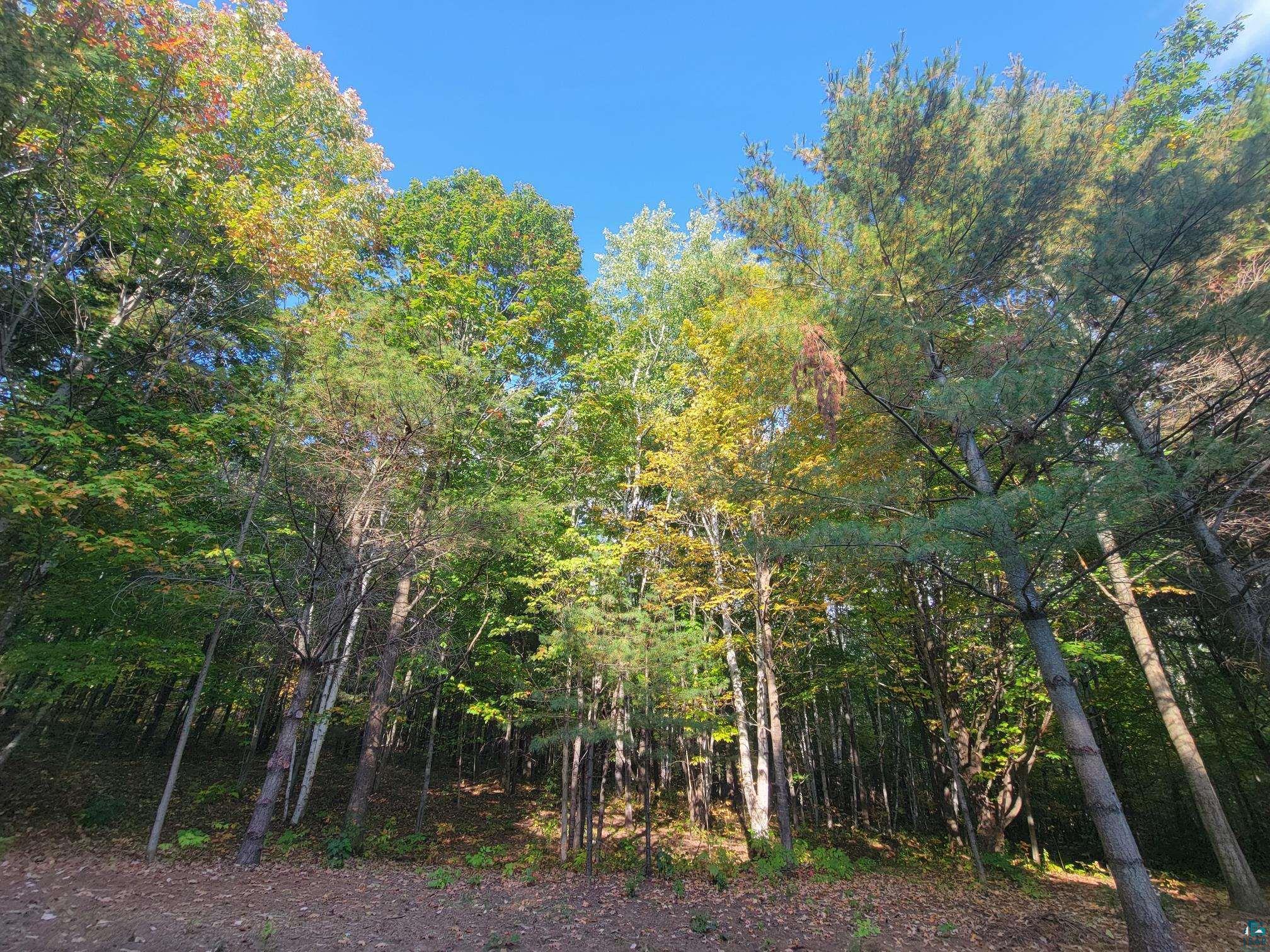 11xxx Old Military Rd, Bayfield, WI 54814 Listing Photo  23